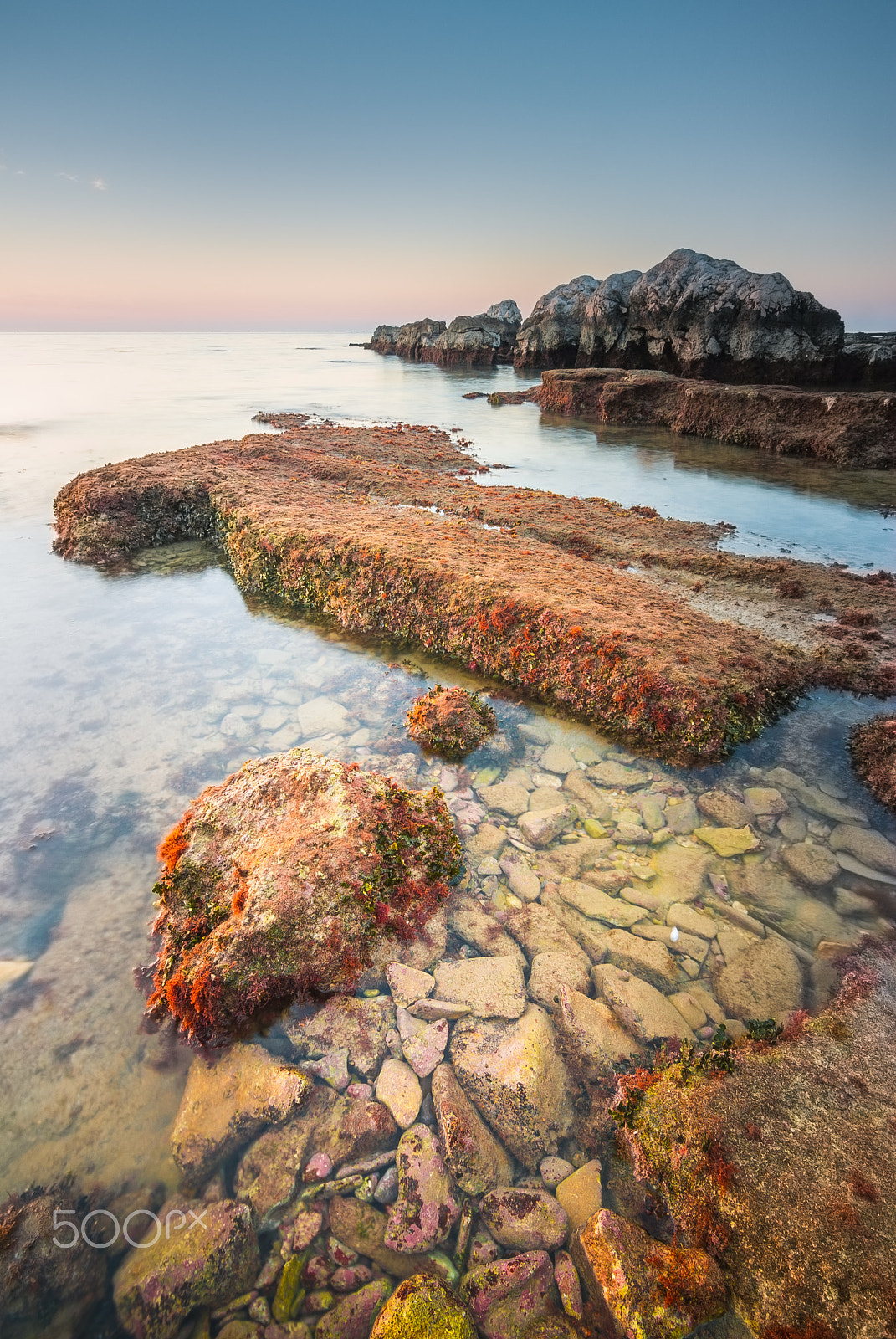 Nikon D80 sample photo. A piece of paradise iii photography