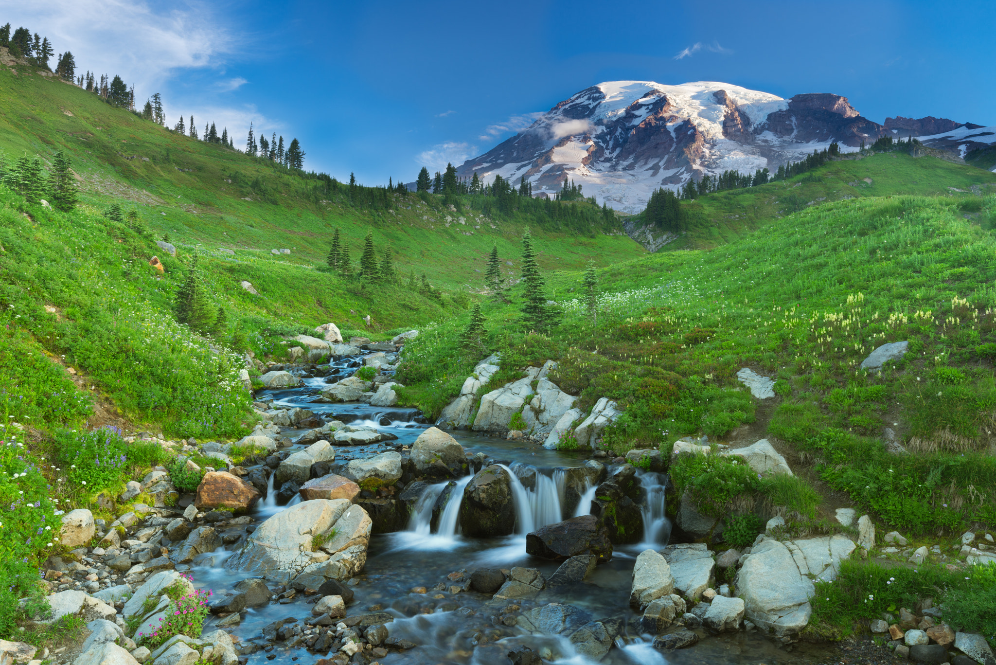 16-35mm F4 OSS sample photo. Mt rainier and edith creek photography