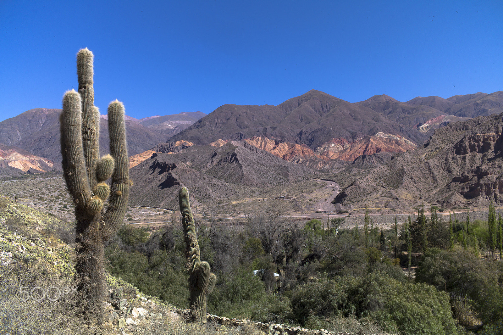 Leica M9 + Elmarit-M 21mm f/2.8 sample photo. Tilcara, quebrada de humahuaca, argentina photography