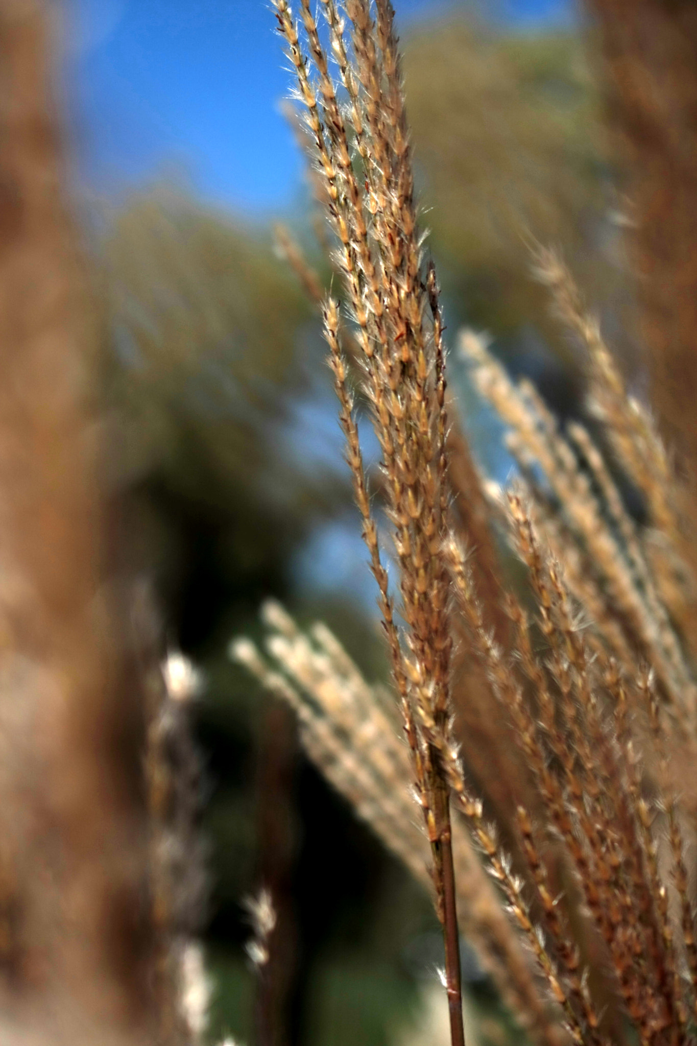 Canon EOS 40D sample photo