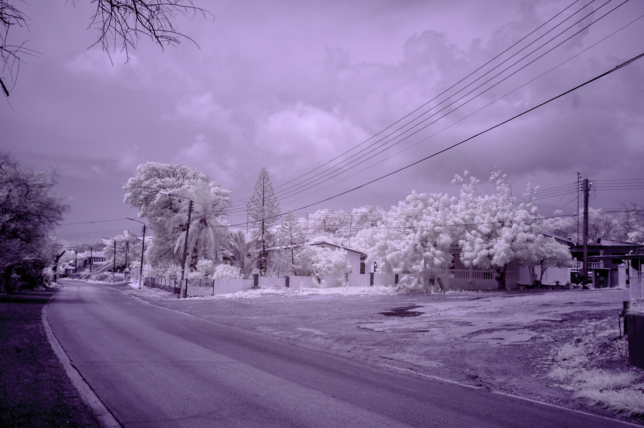 Nikon D50 sample photo. Curaçao infrared photography