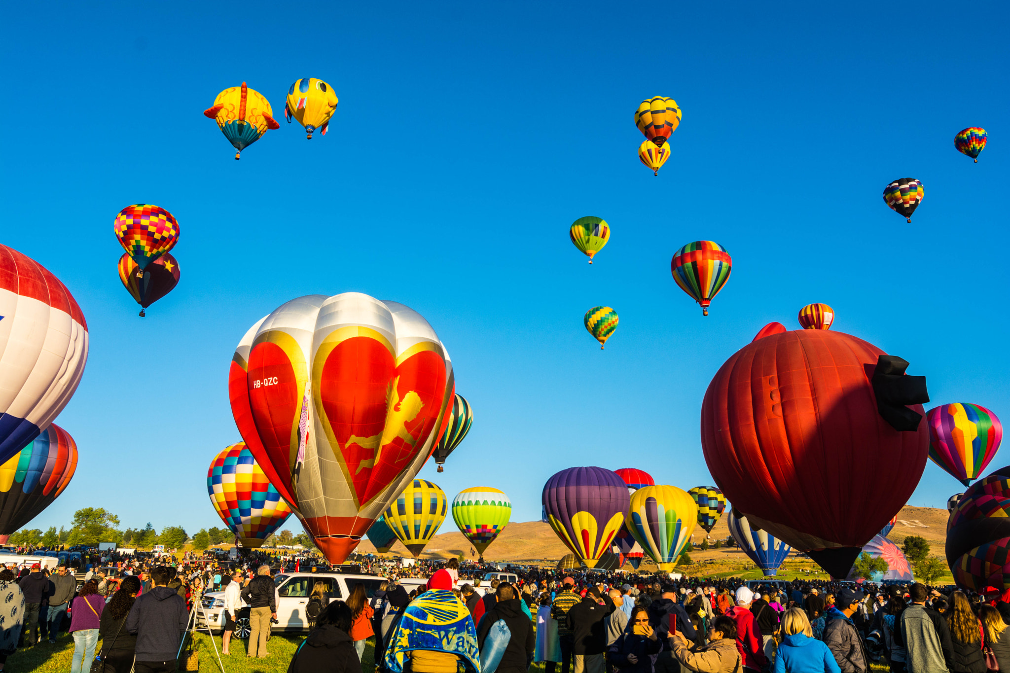 Tokina AT-X Pro 12-24mm F4 (IF) DX sample photo. Gus guppy & sushi in the air photography