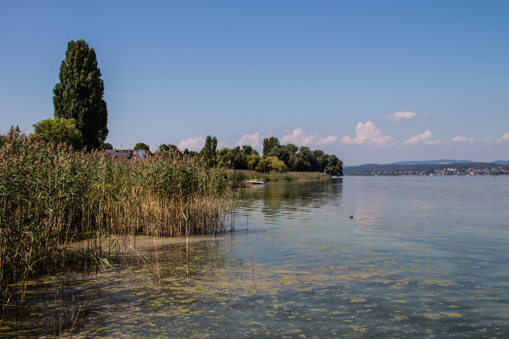 Canon EOS 650D (EOS Rebel T4i / EOS Kiss X6i) sample photo. View on the bodensee photography