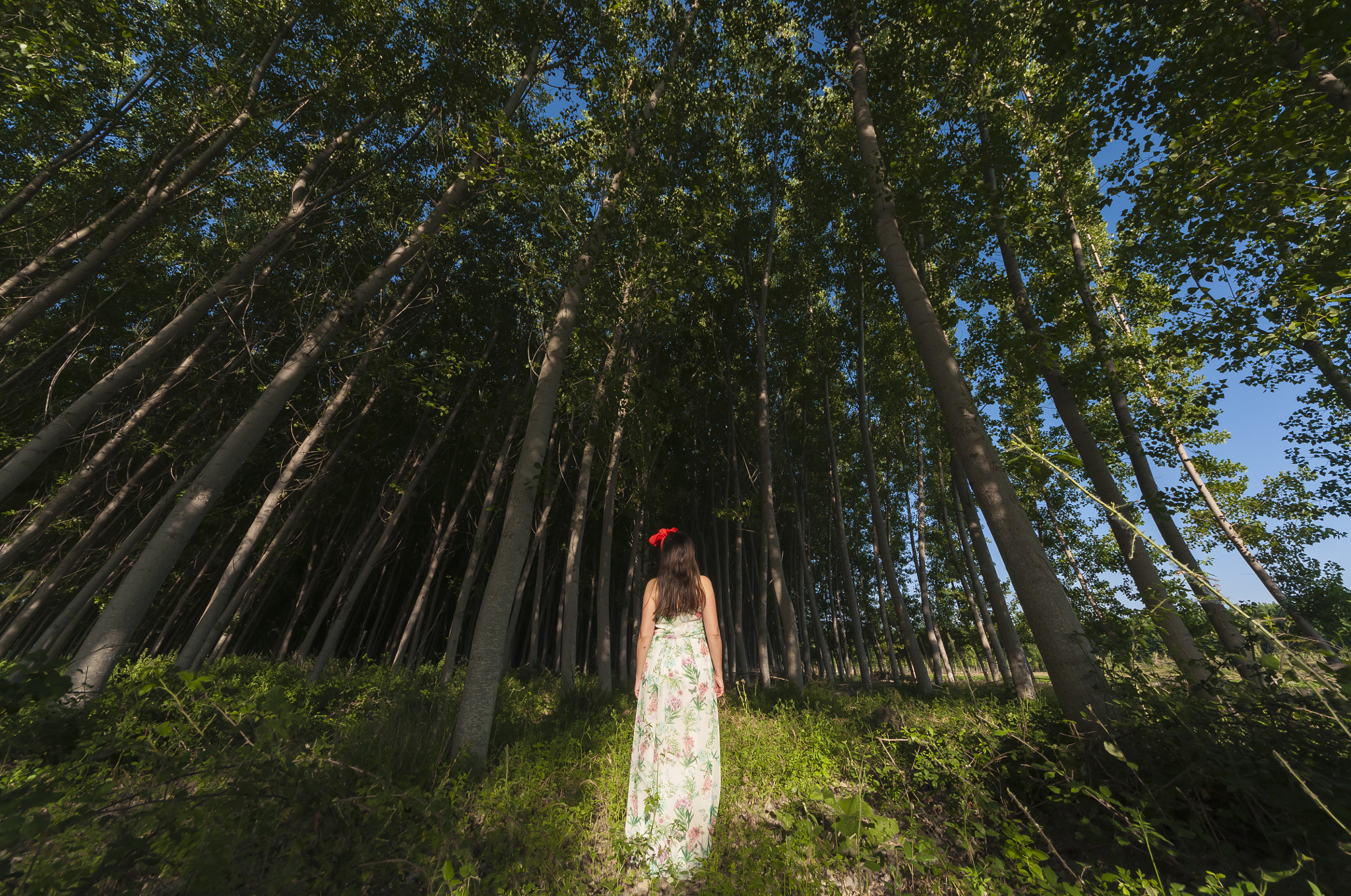 Sigma 8-16mm F4.5-5.6 DC HSM sample photo. Soledad. photography