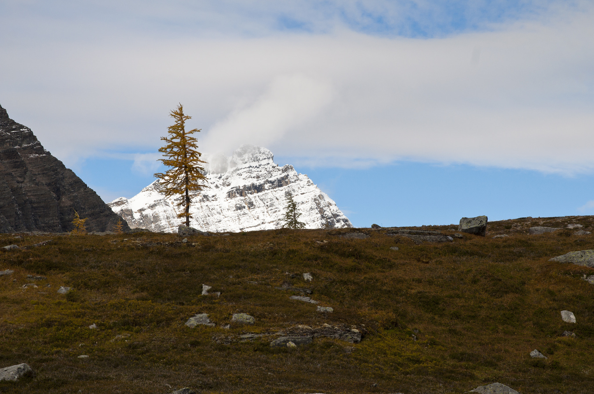 Sigma 17-70mm F2.8-4 DC Macro OS HSM sample photo. Yes the larch were turning photography