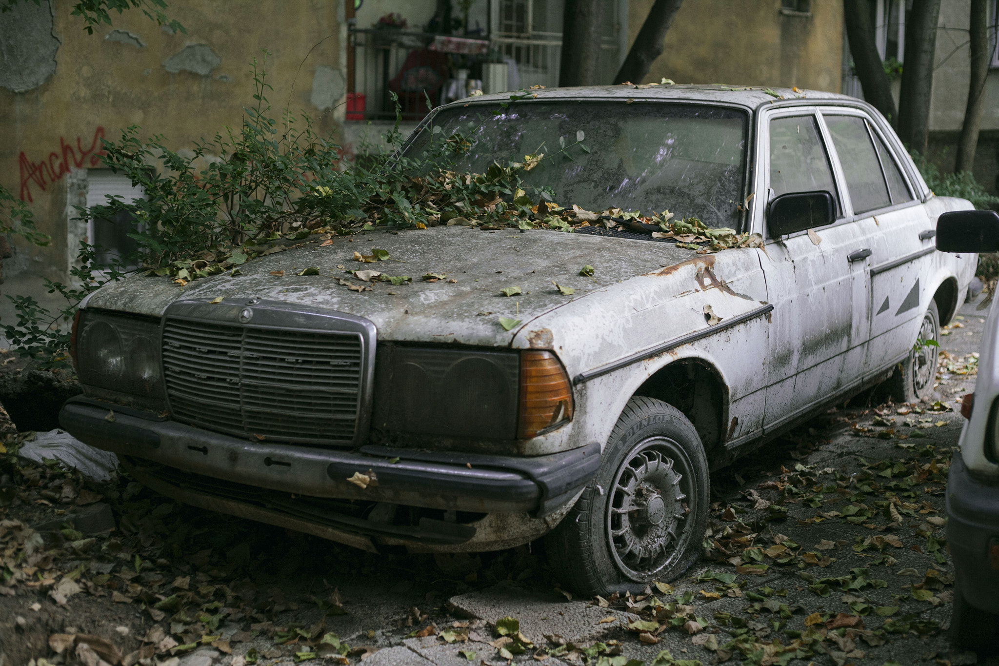 Canon EOS-1Ds Mark II sample photo. Mercedes photography
