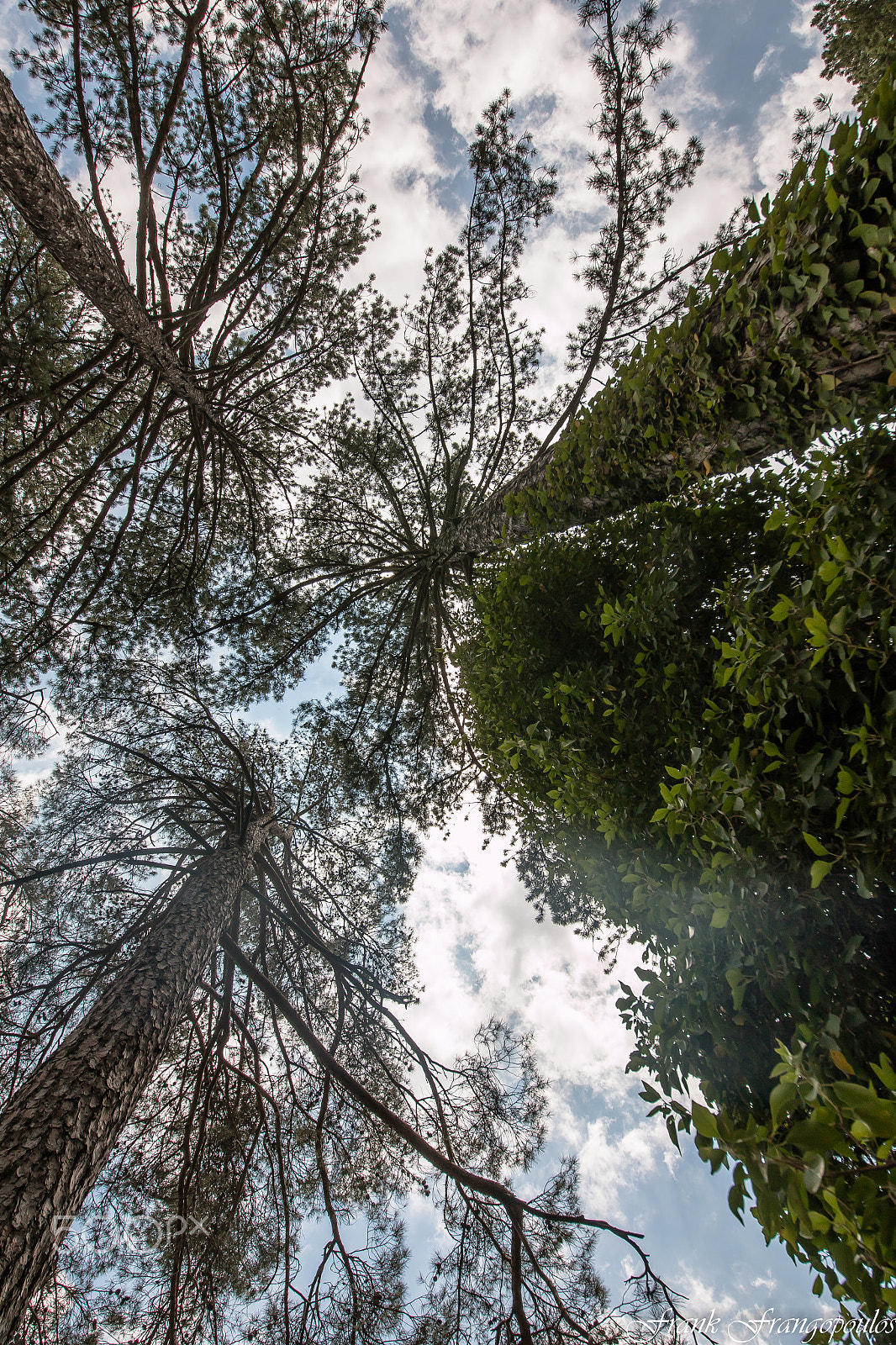 Sigma 12-24mm F4.5-5.6 II DG HSM sample photo. Mg photography