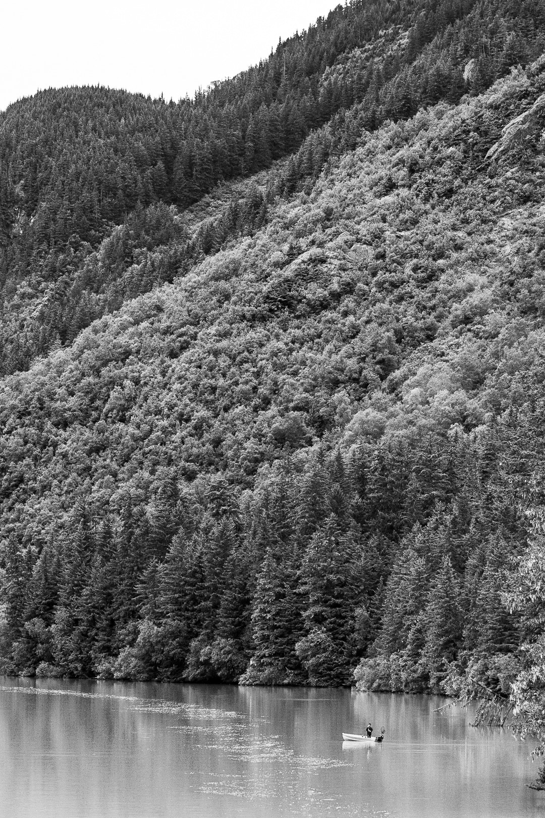 Canon EOS-1D Mark II N sample photo. Alaska photography