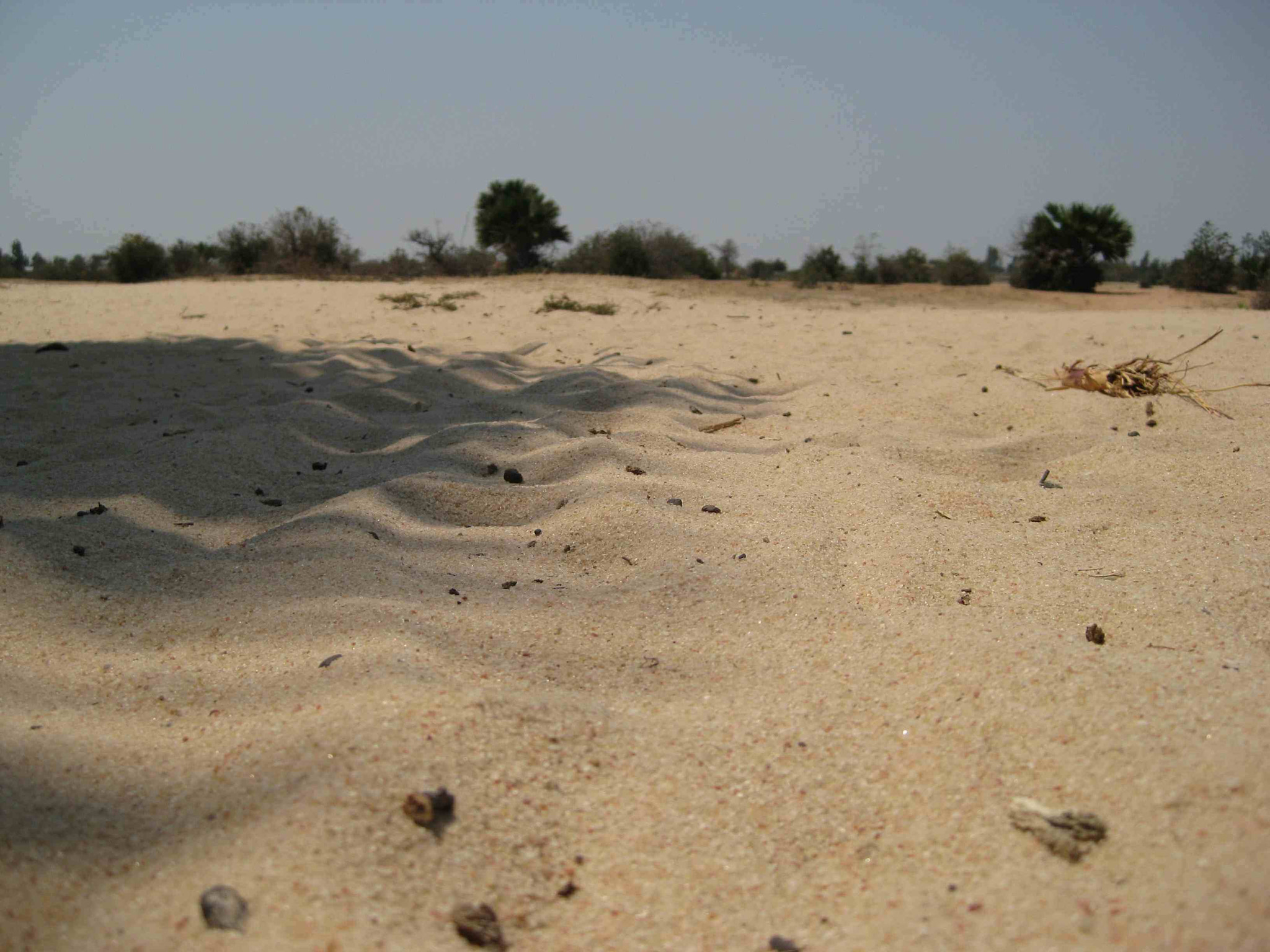 Canon PowerShot SD1100 IS (Digital IXUS 80 IS / IXY Digital 20 IS) sample photo. Desert singida tanzania line production tanzania fixer pictodome lalie rabeharison photography