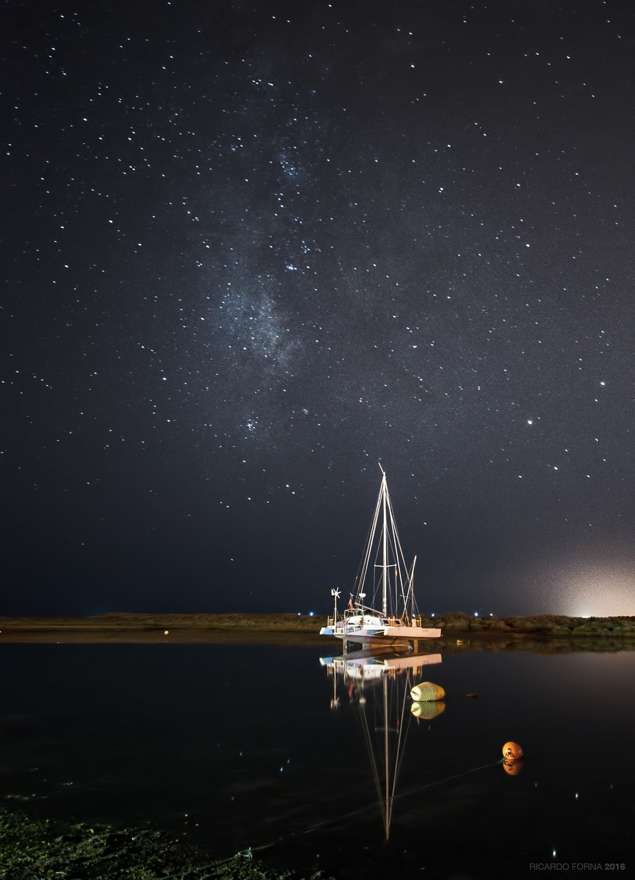 Nikon D90 sample photo. Sailing the cosmos photography