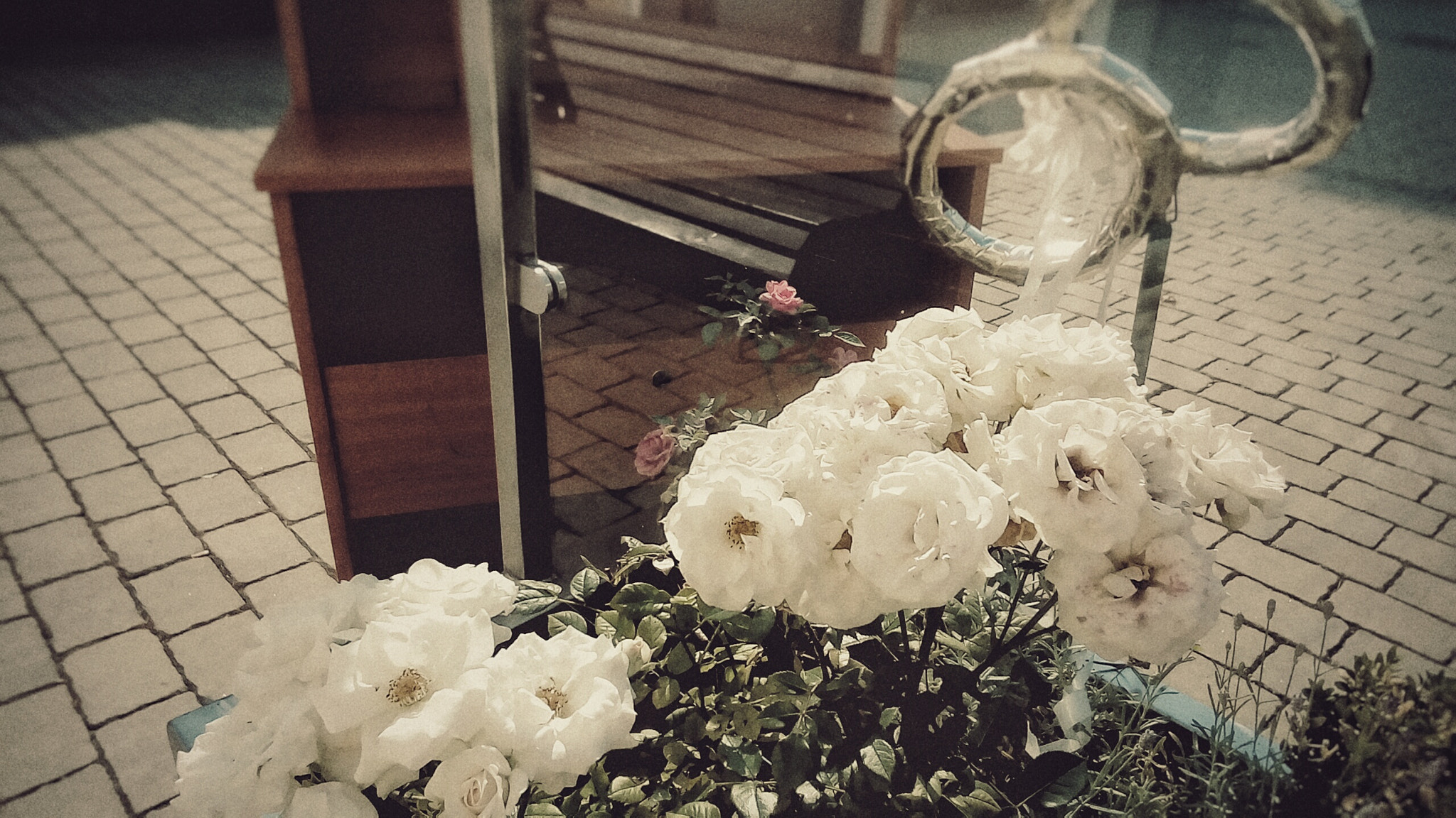 ASUS P00A sample photo. Silence photography