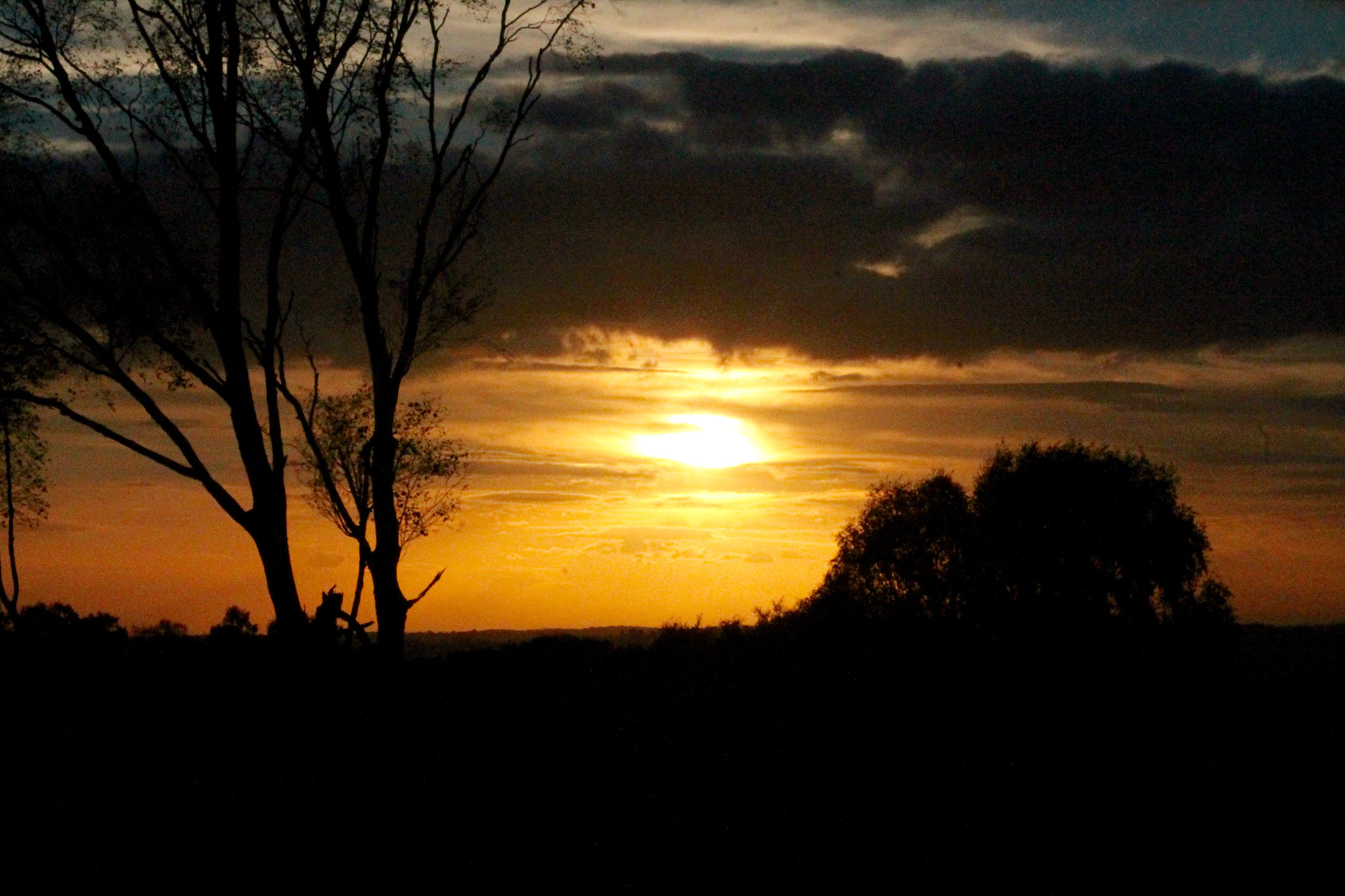 Canon EF75-300mm f/4-5.6 sample photo. Beautiful golden sunset photography