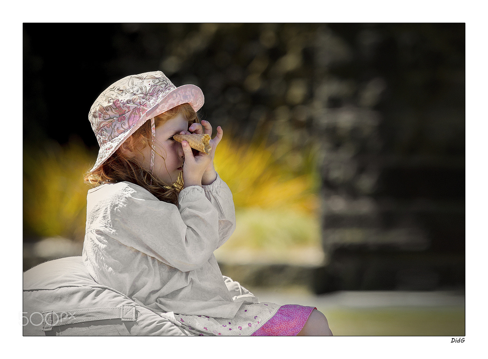 Canon EOS-1D Mark IV sample photo. Par le bout de la lorgnette photography