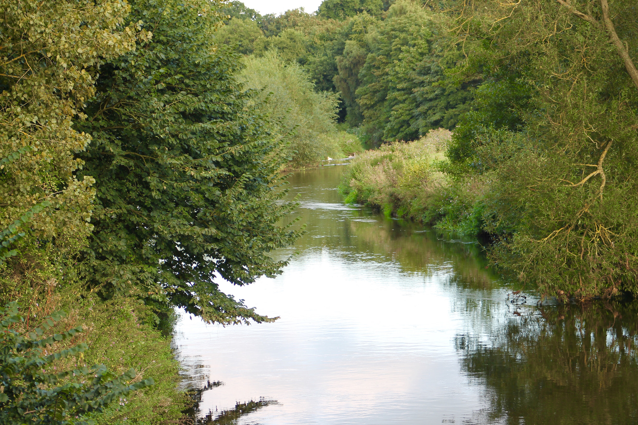 Canon EF75-300mm f/4-5.6 sample photo. Tranquil river trent meandering through staffordshire pasture lands photography