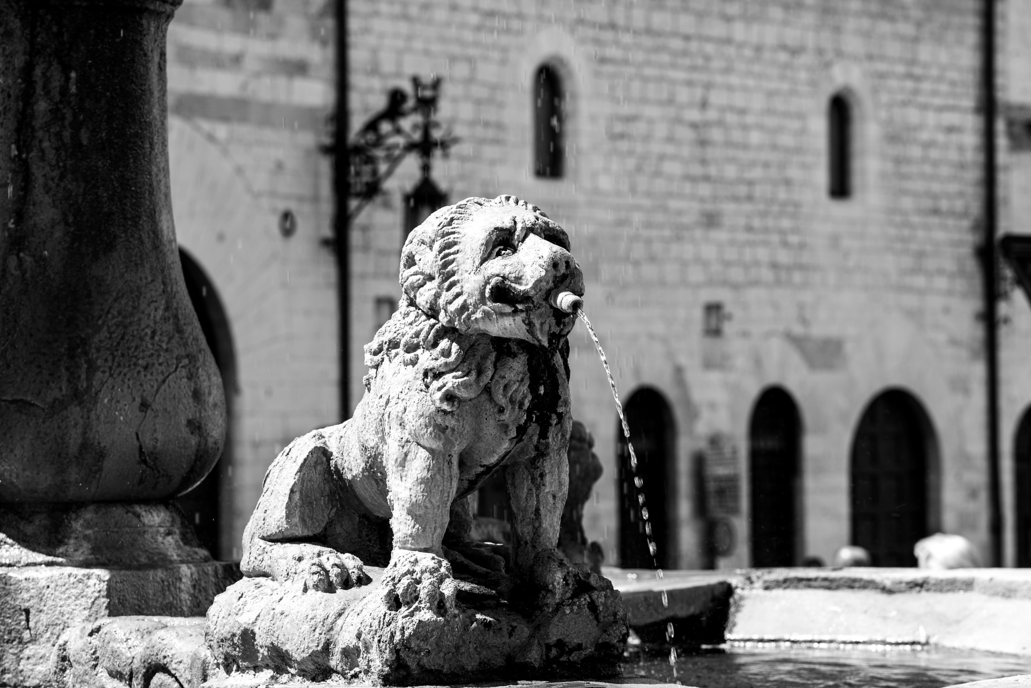 Nikon D600 sample photo. Particolare di fontana photography