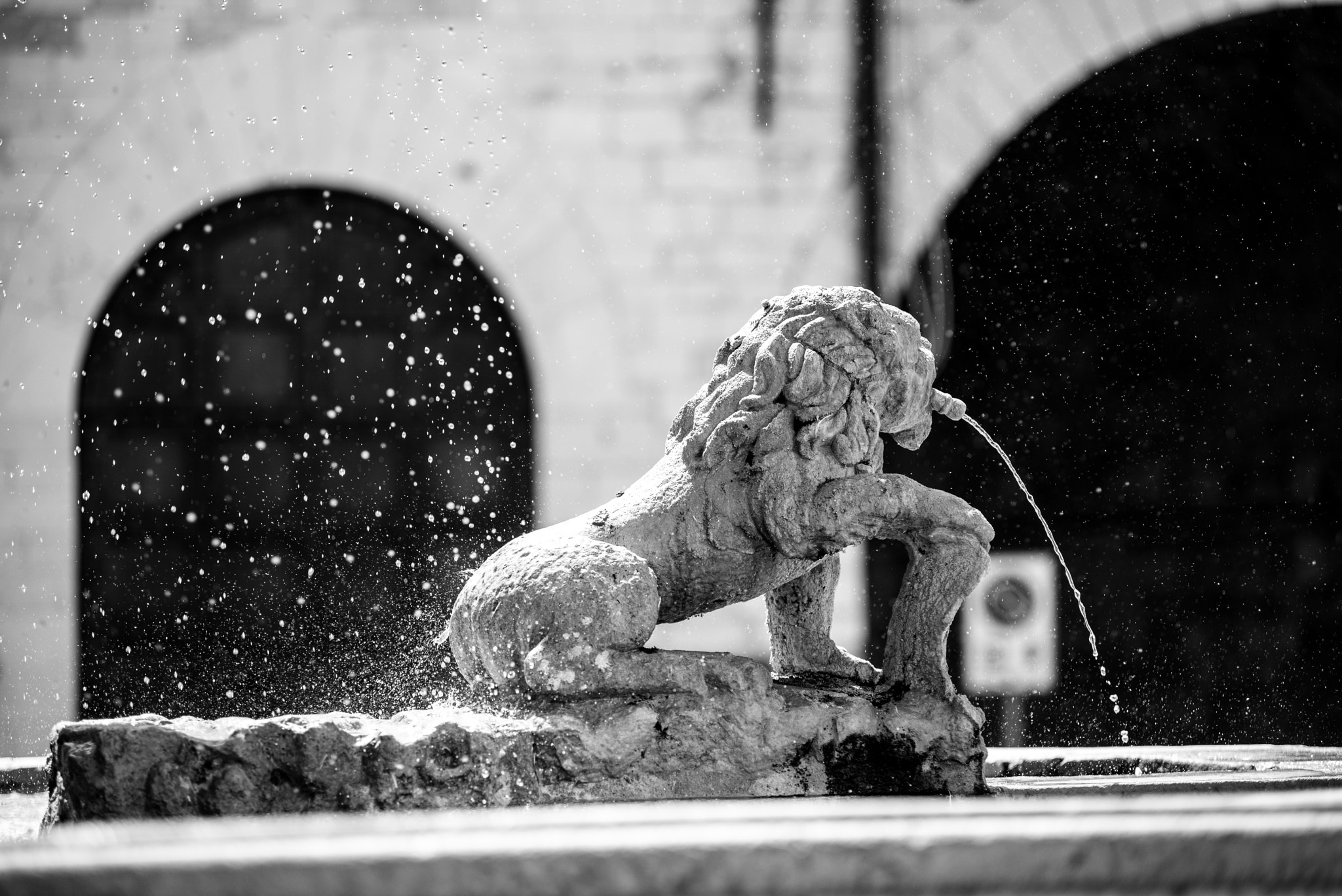 Nikon D600 sample photo. Particolare di fontana photography