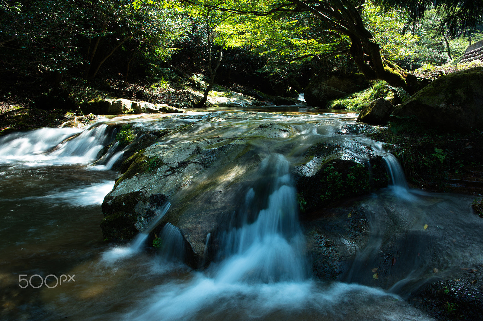 ZEISS Distagon T* 28mm F2 sample photo. Mountain stream photography