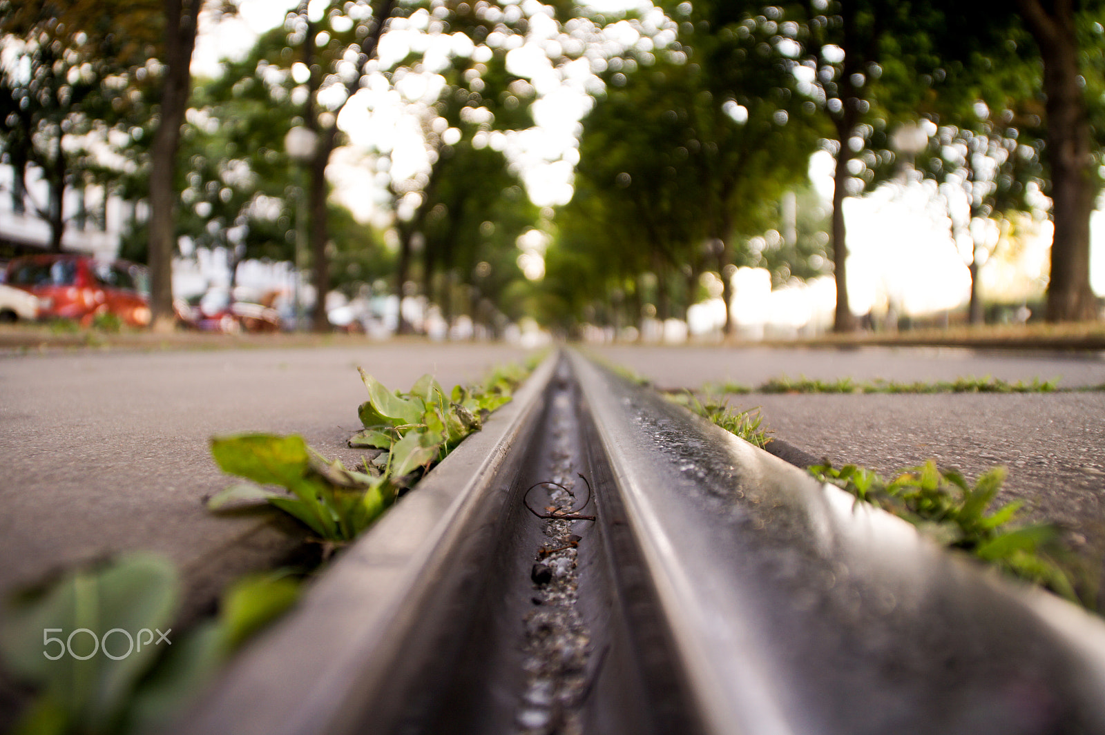 Sony SLT-A33 sample photo. Deep perspective photography