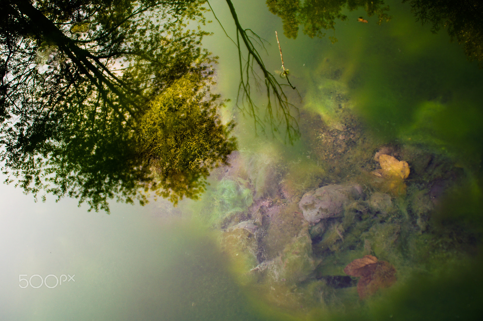 Sony SLT-A33 sample photo. Reflecting underground photography