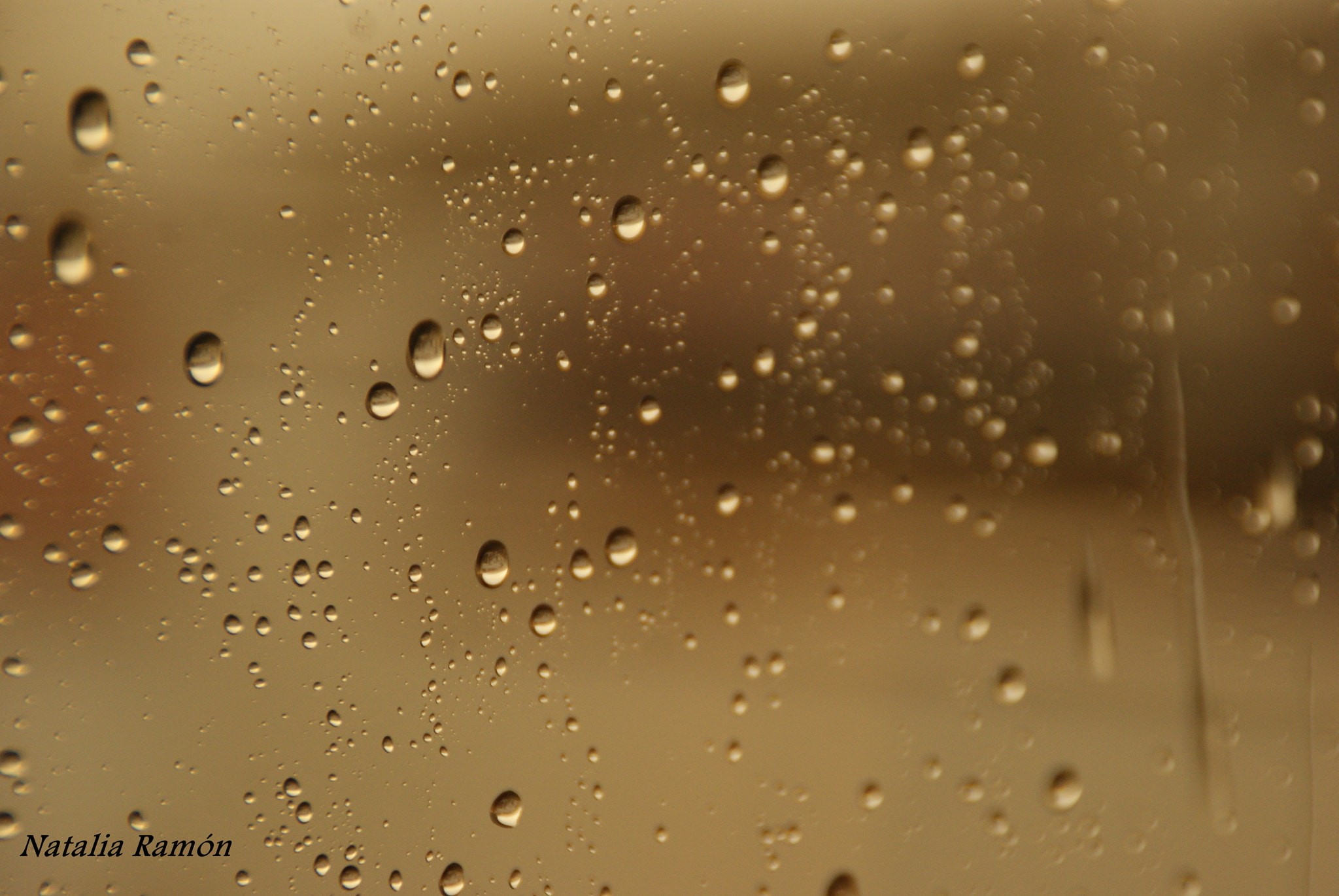 Sony Alpha DSLR-A230 sample photo