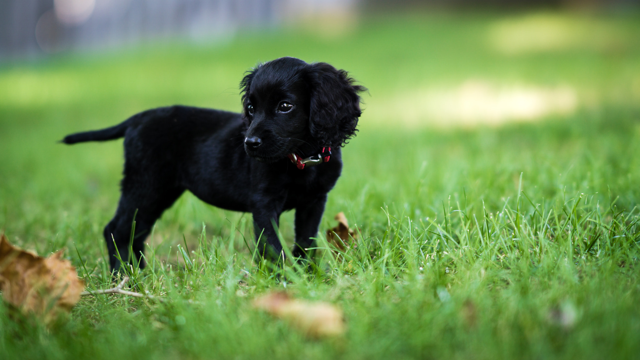 Sony FE 85mm F1.4 GM sample photo. Adventures in every direction photography