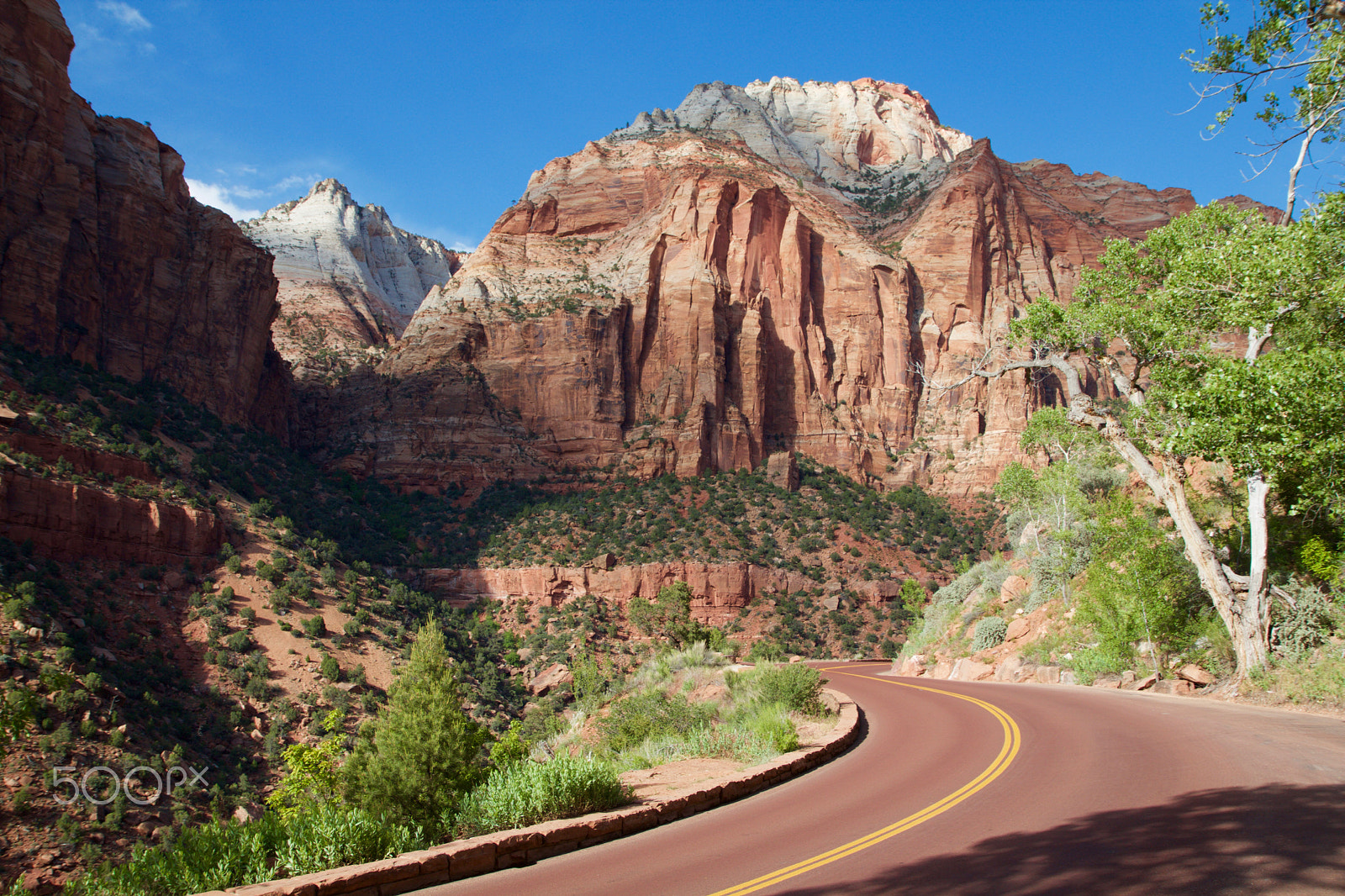 Canon EOS 550D (EOS Rebel T2i / EOS Kiss X4) sample photo. The road to zion photography