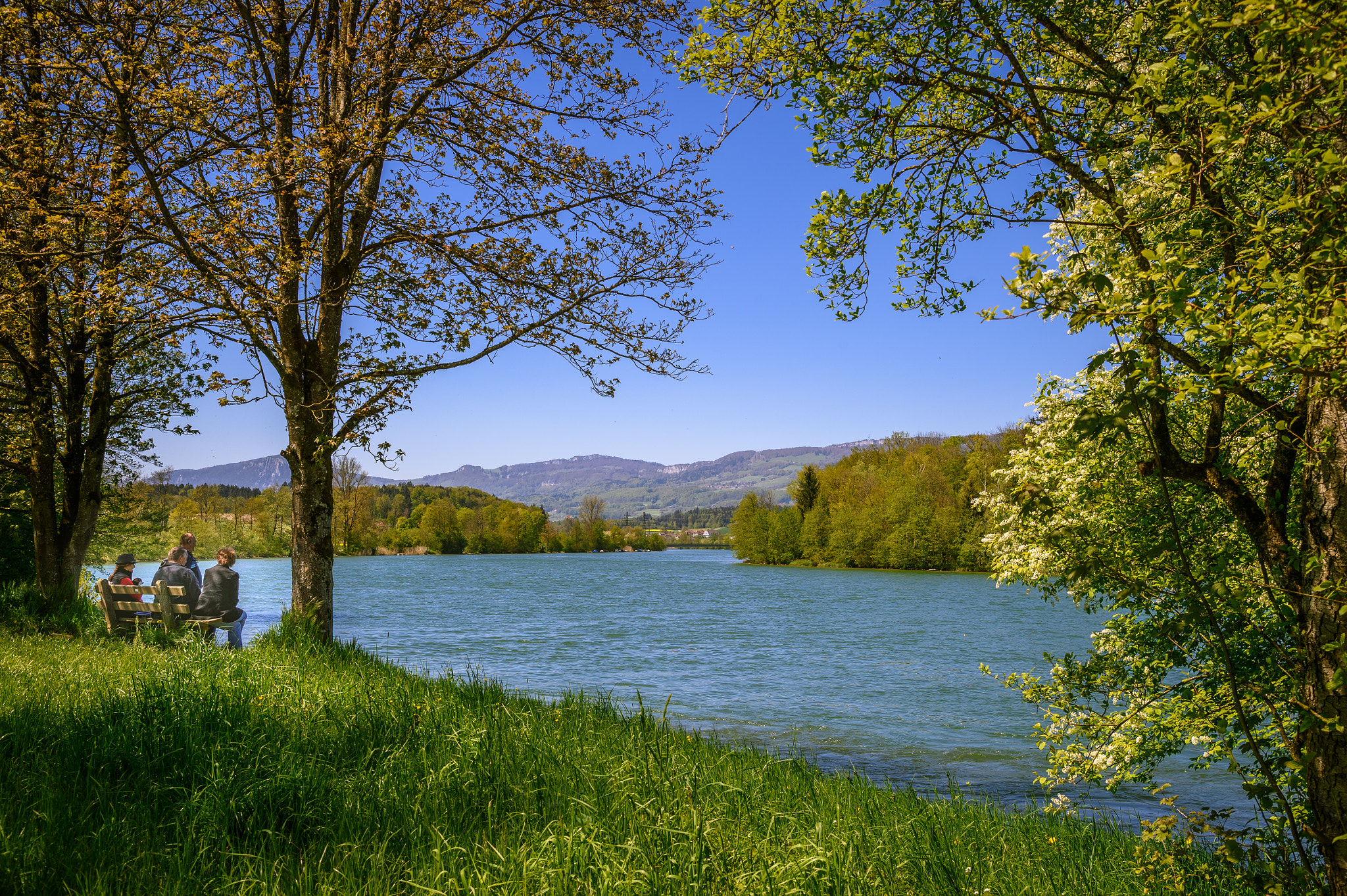 Nikon D4S sample photo. On the road to bern photography