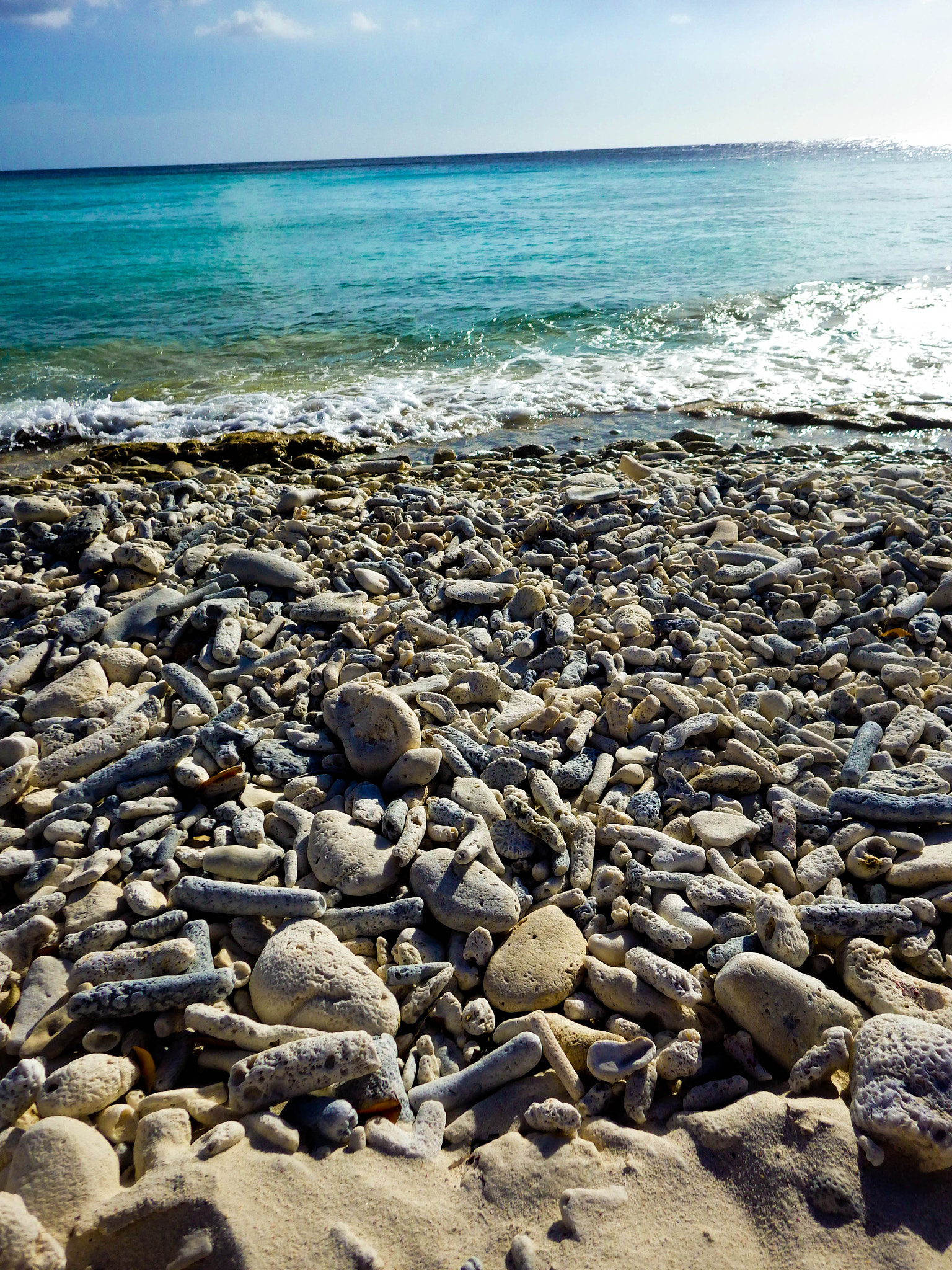 Ricoh WG-4 sample photo. Caribbean photography