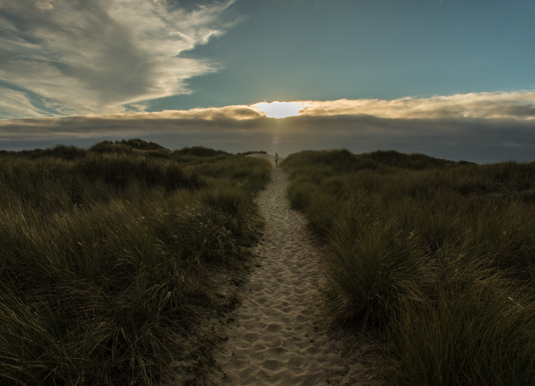 Pentax K-5 II sample photo. Sand dune trail photography