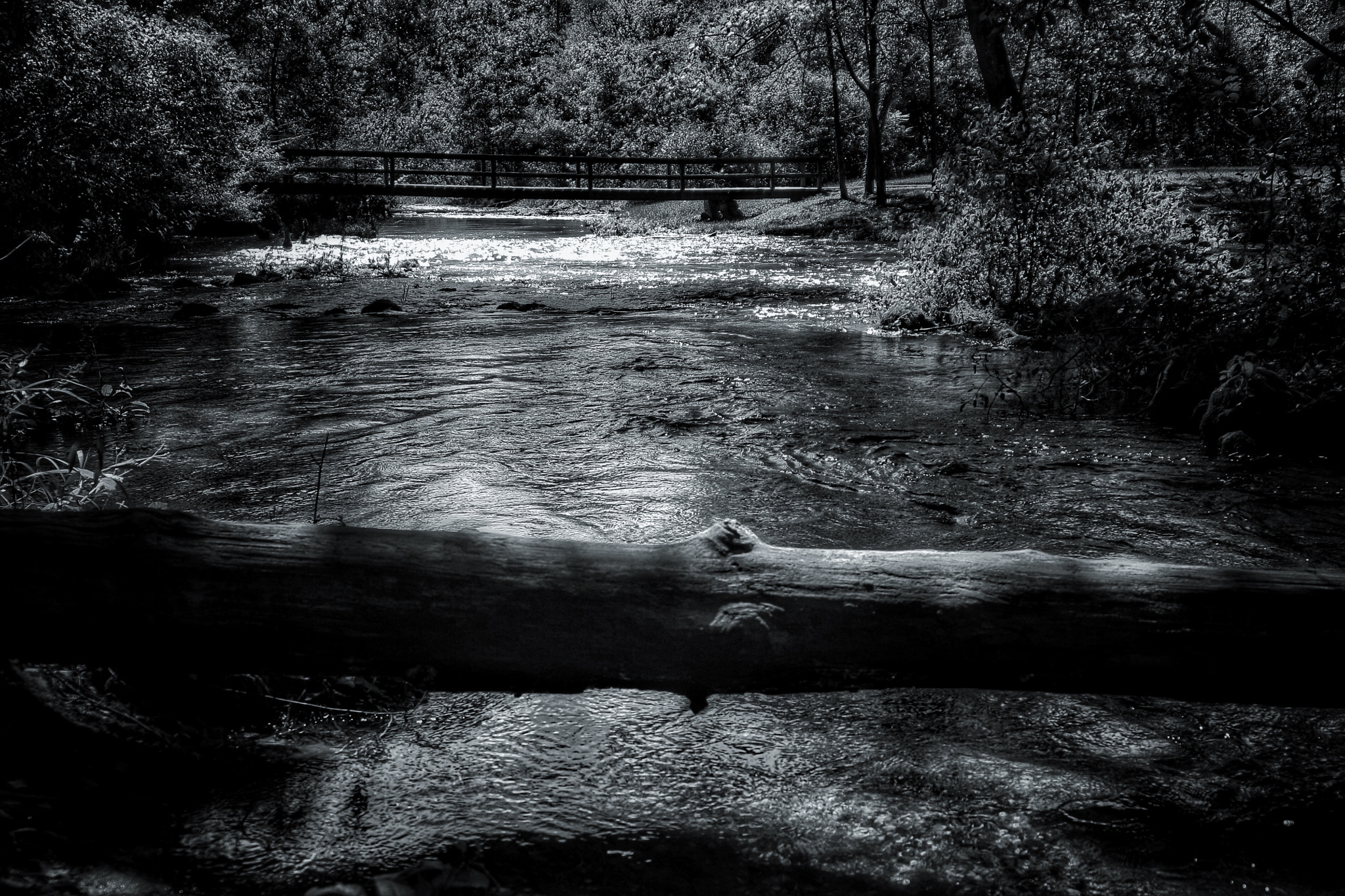 Tamron AF 28-200mm F3.8-5.6 XR Di Aspherical (IF) Macro sample photo. A view up the creek photography