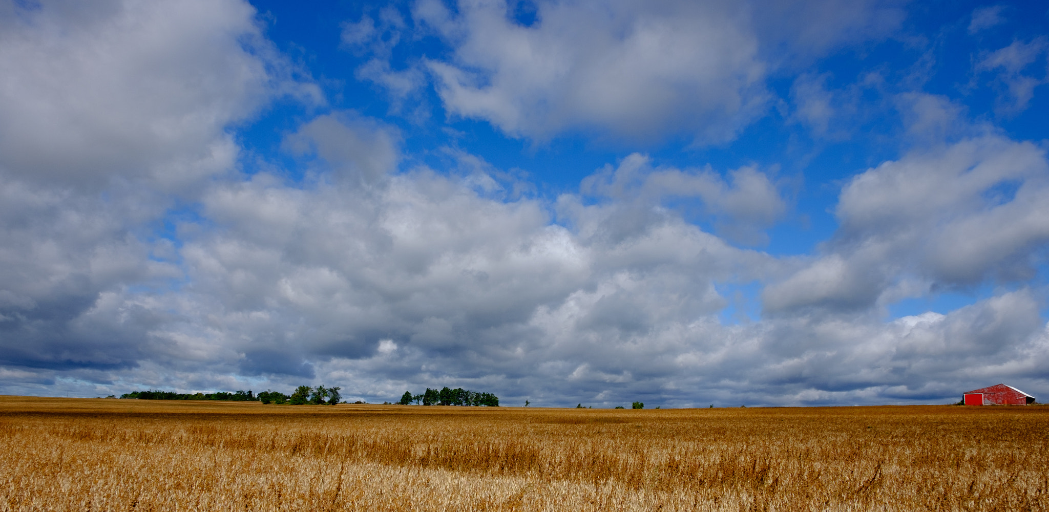 Fujifilm X-T10 + Fujifilm XF 16-55mm F2.8 R LM WR sample photo. Red barn photography