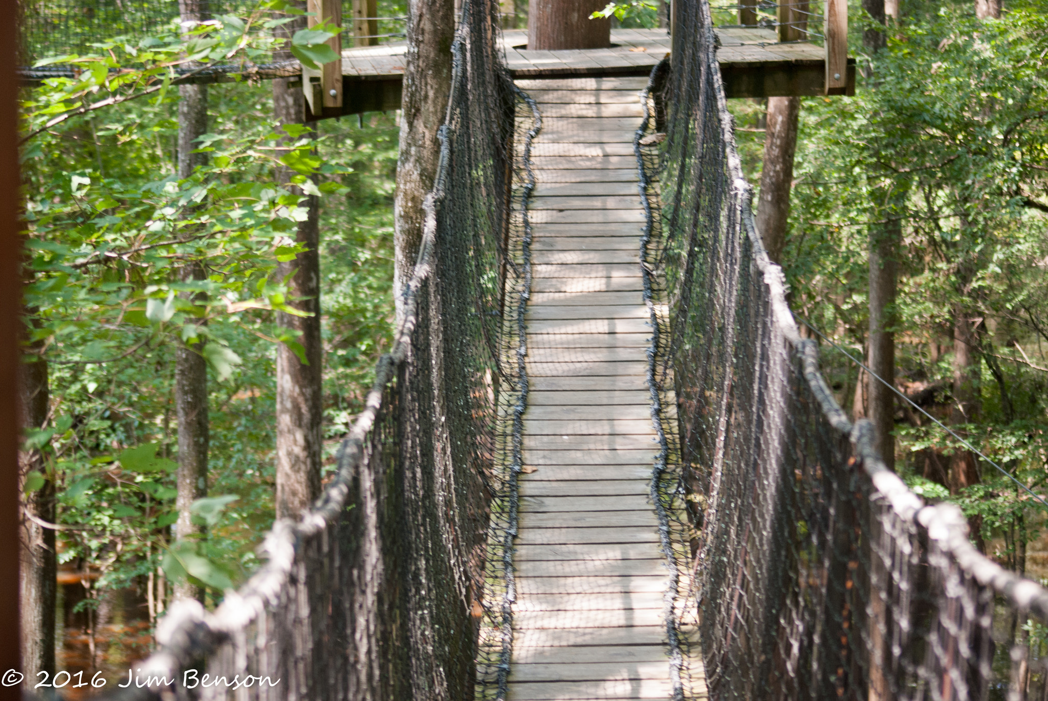 Nikon D80 sample photo. Lynches river county park photography