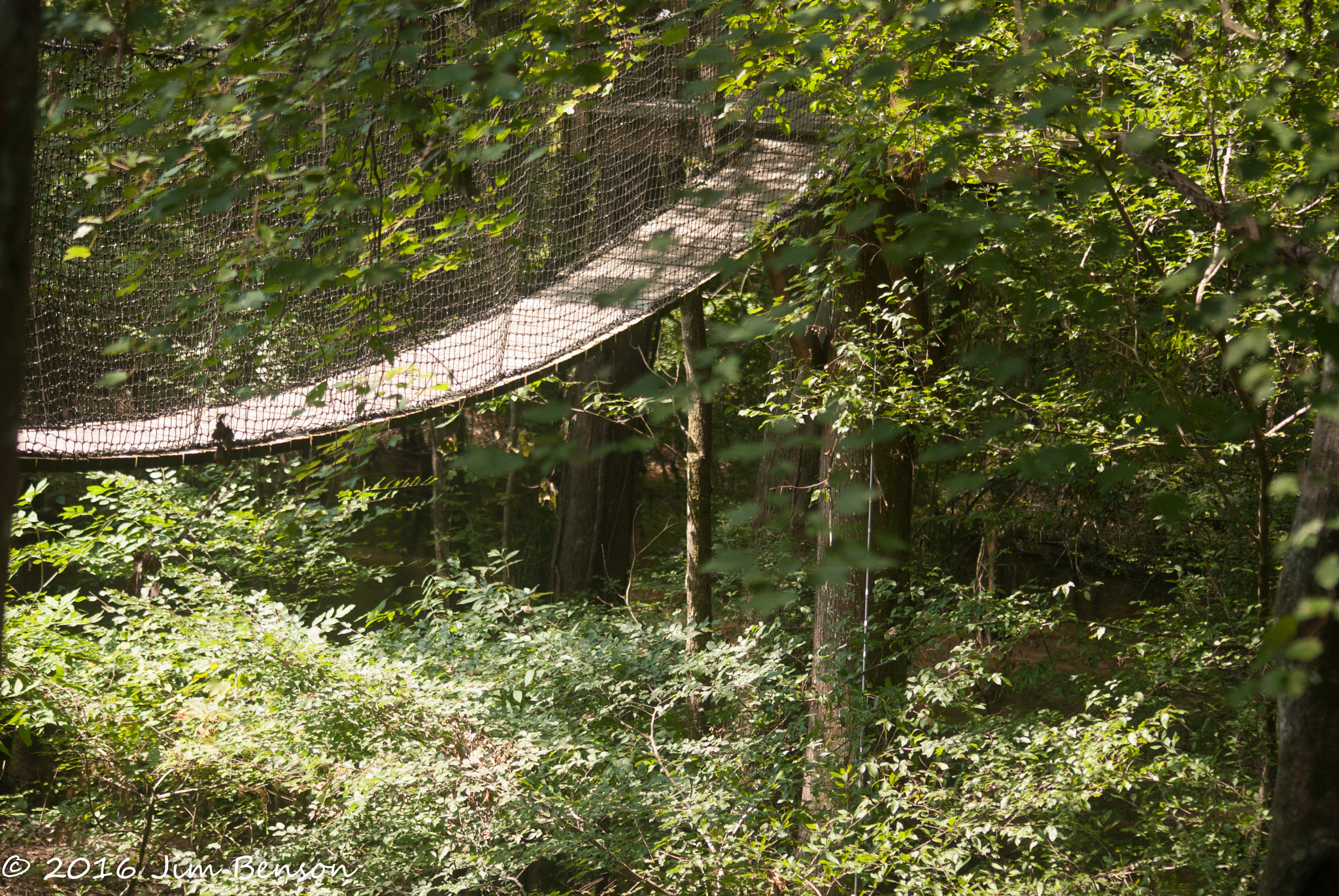 Nikon D80 sample photo. Lynches river county park photography