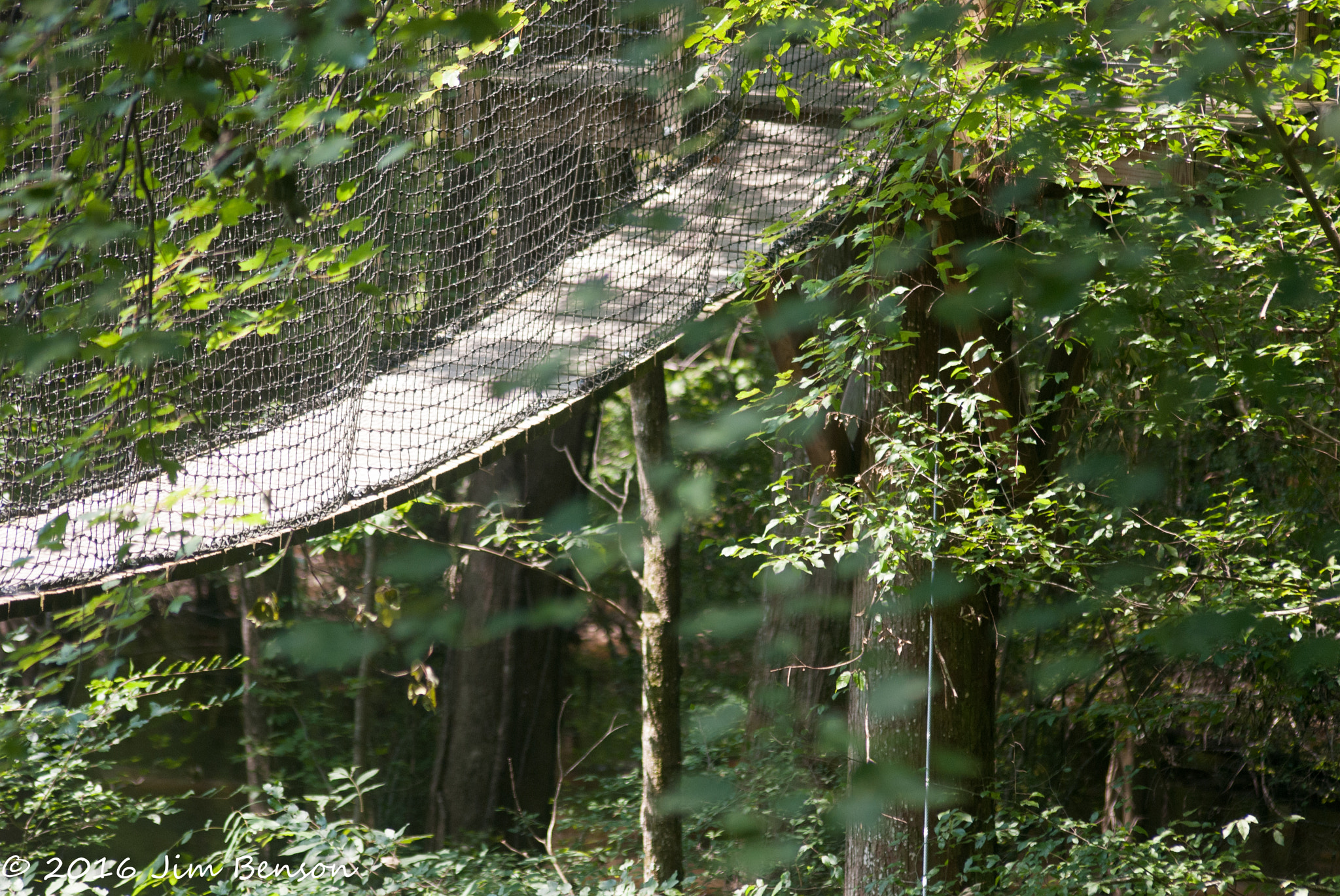 Nikon D80 sample photo. Lynches river county park photography