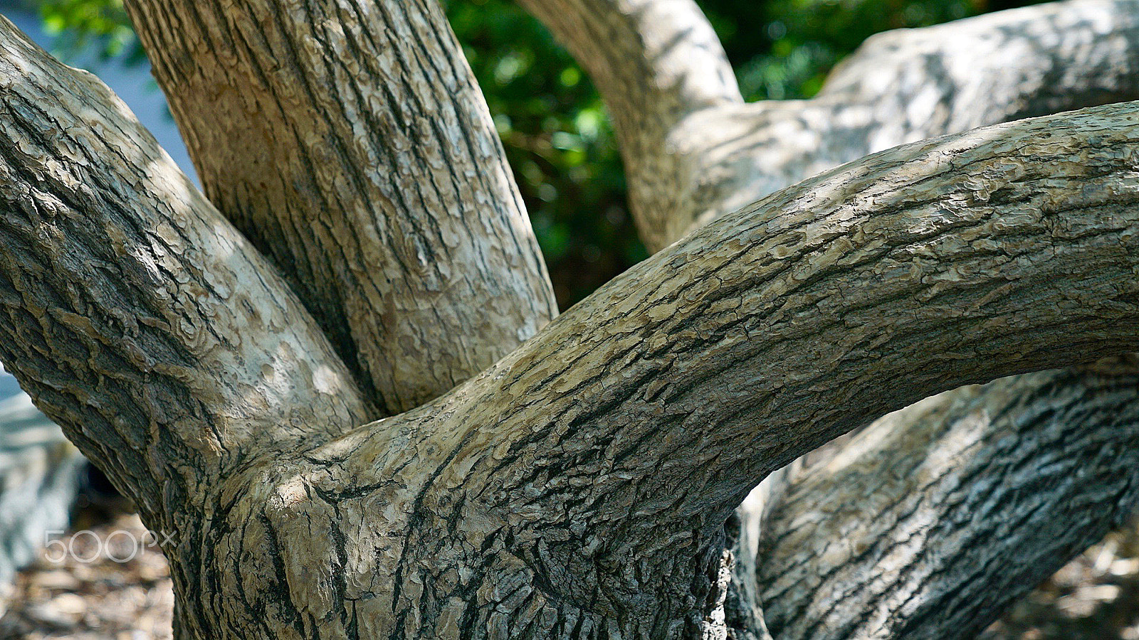 Sony a7S II + Sony FE 24-70mm F2.8 GM sample photo. Hard photography