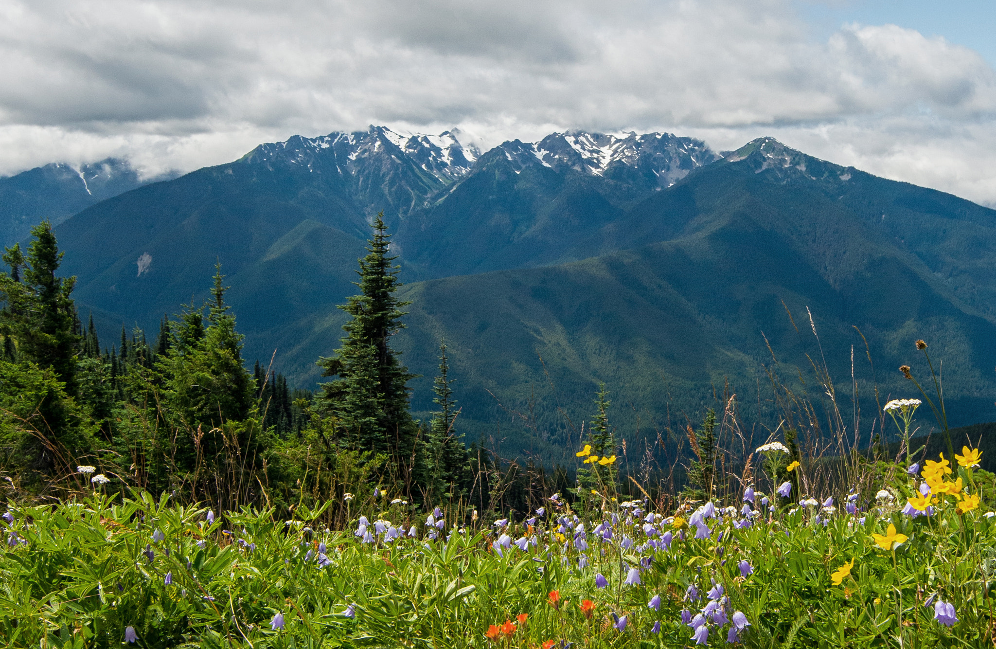 Nikon D600 sample photo. Alpine summer photography
