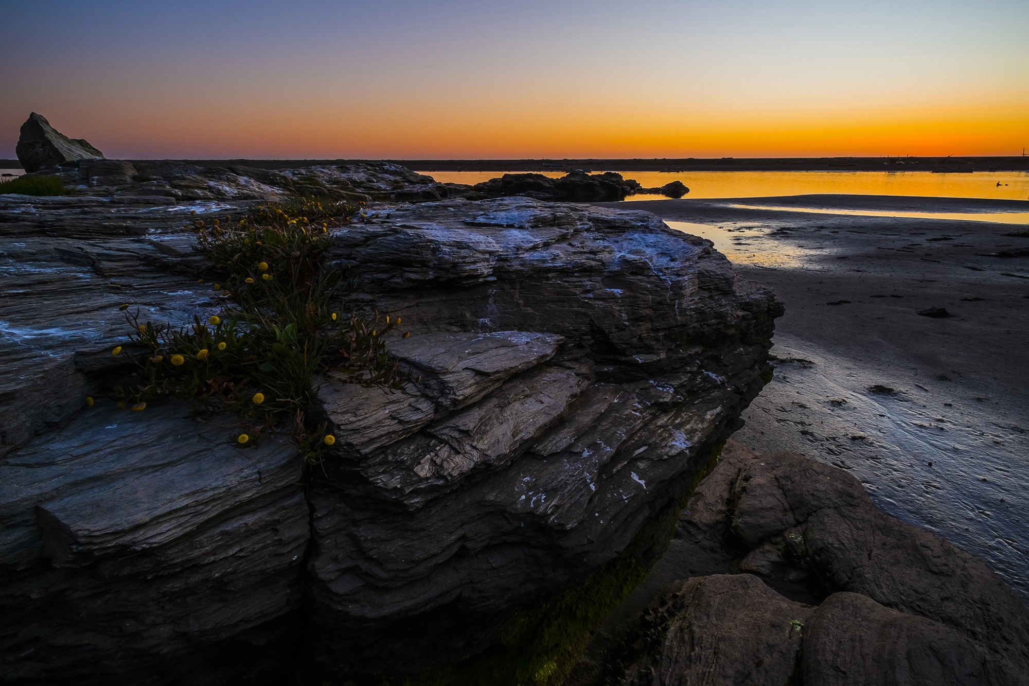 ZEISS Touit 12mm F2.8 sample photo. Lct_dsf4887 photography
