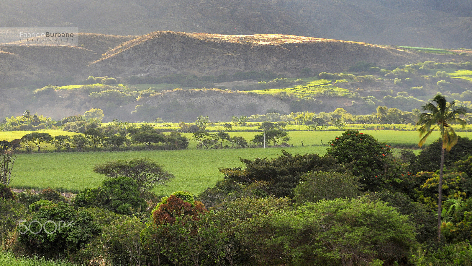 Nikon D300 sample photo. Valle de catamayo photography