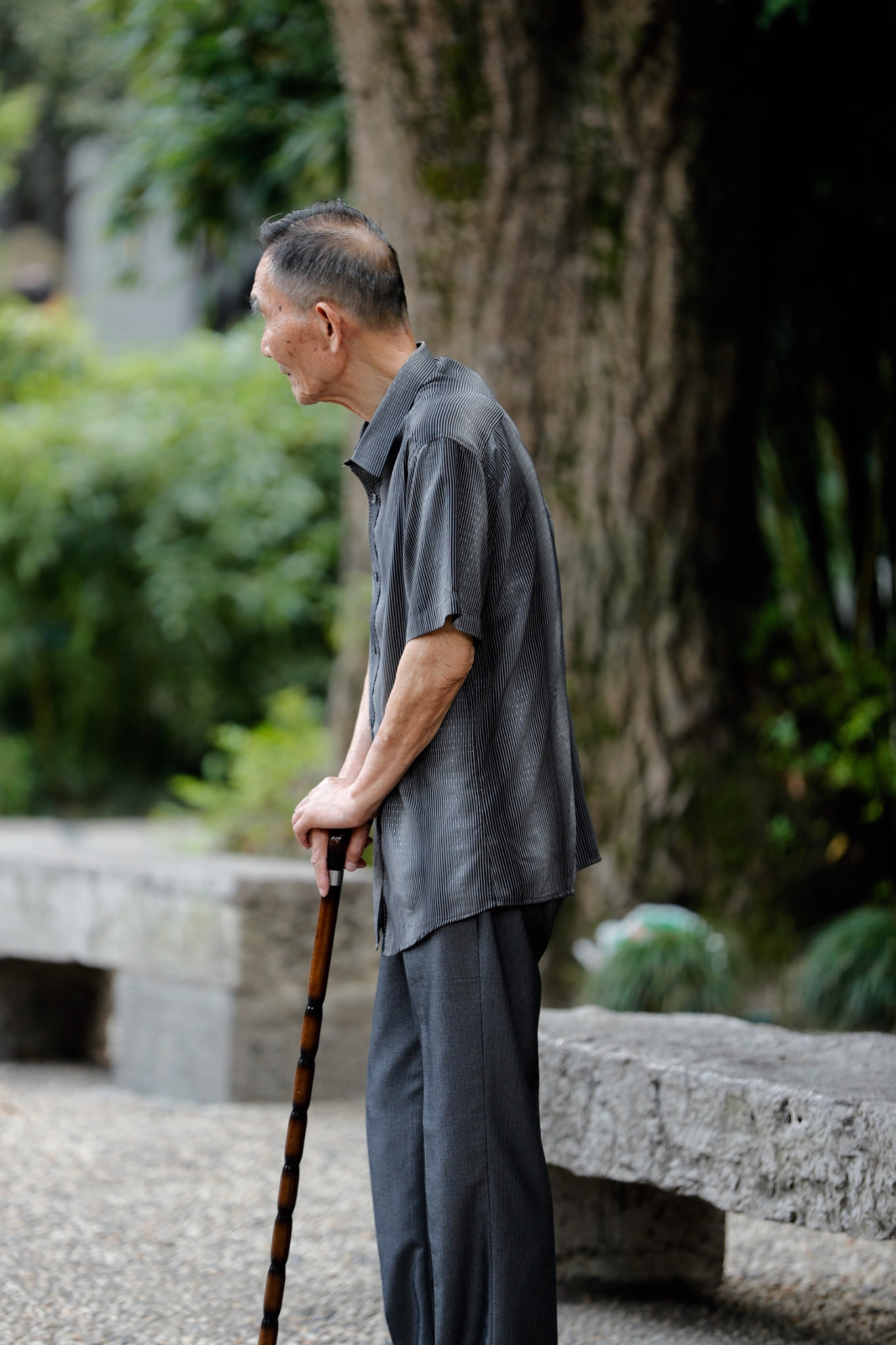 Canon EF 70-200mm F2.8L IS II USM sample photo