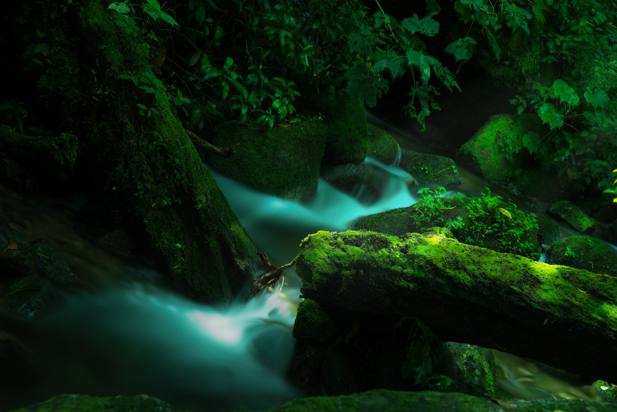 AF Zoom-Nikkor 28-105mm f/3.5-4.5D IF sample photo. River of escazu photography