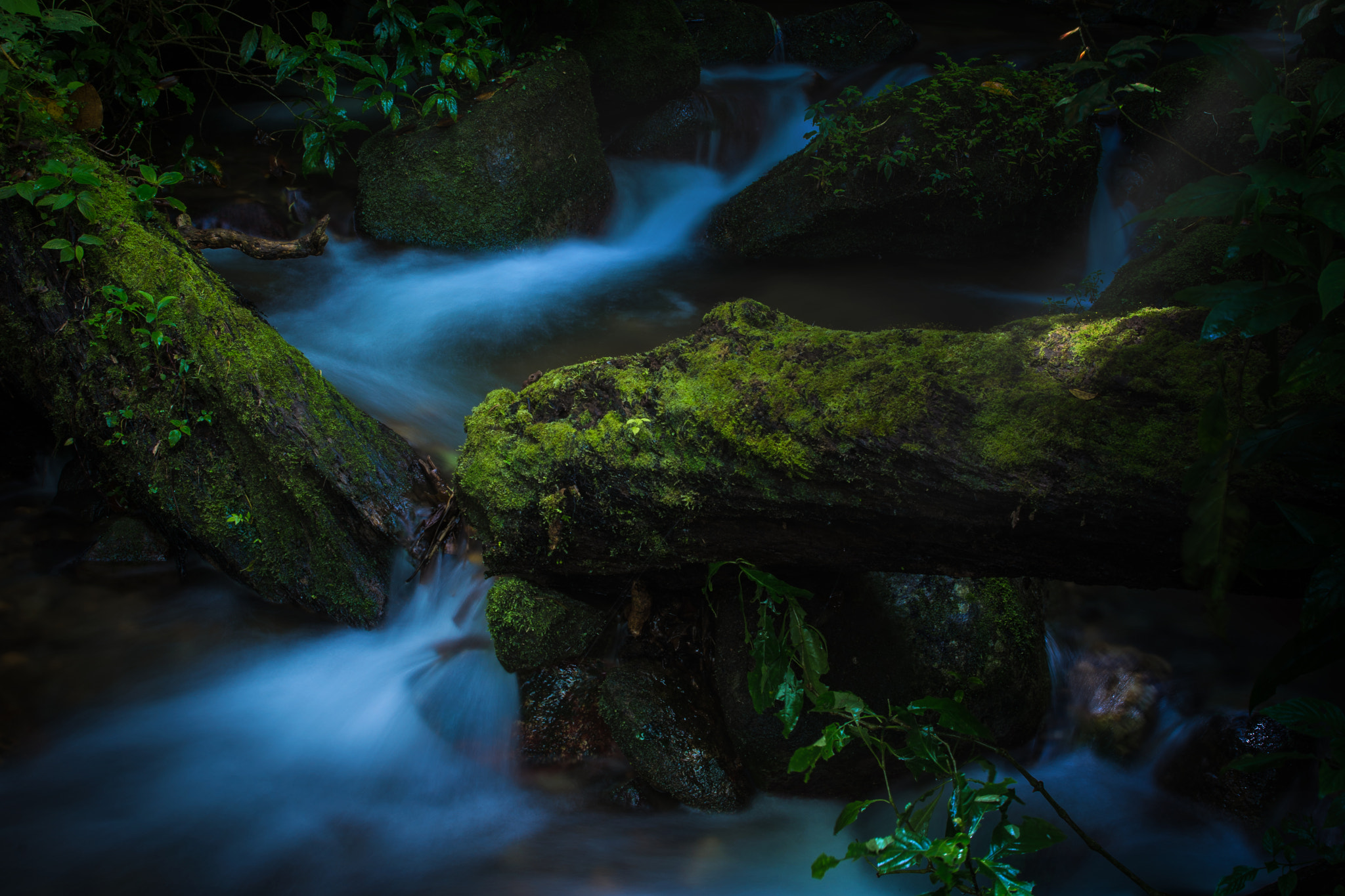 AF Zoom-Nikkor 28-105mm f/3.5-4.5D IF sample photo. River of escazu photography