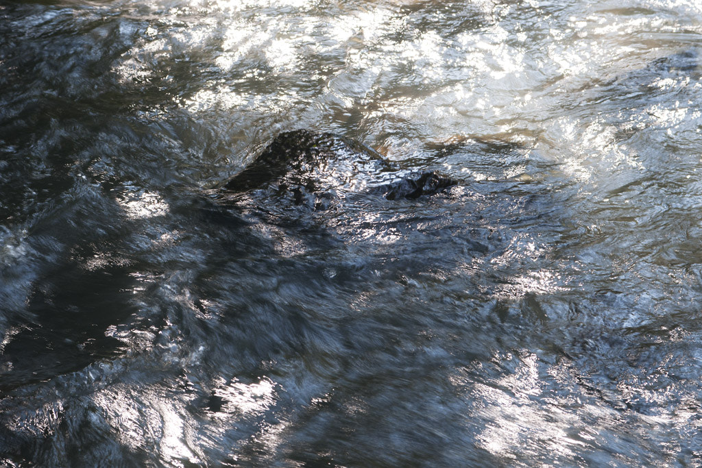 Nikon D300 sample photo. Troubled waters photography