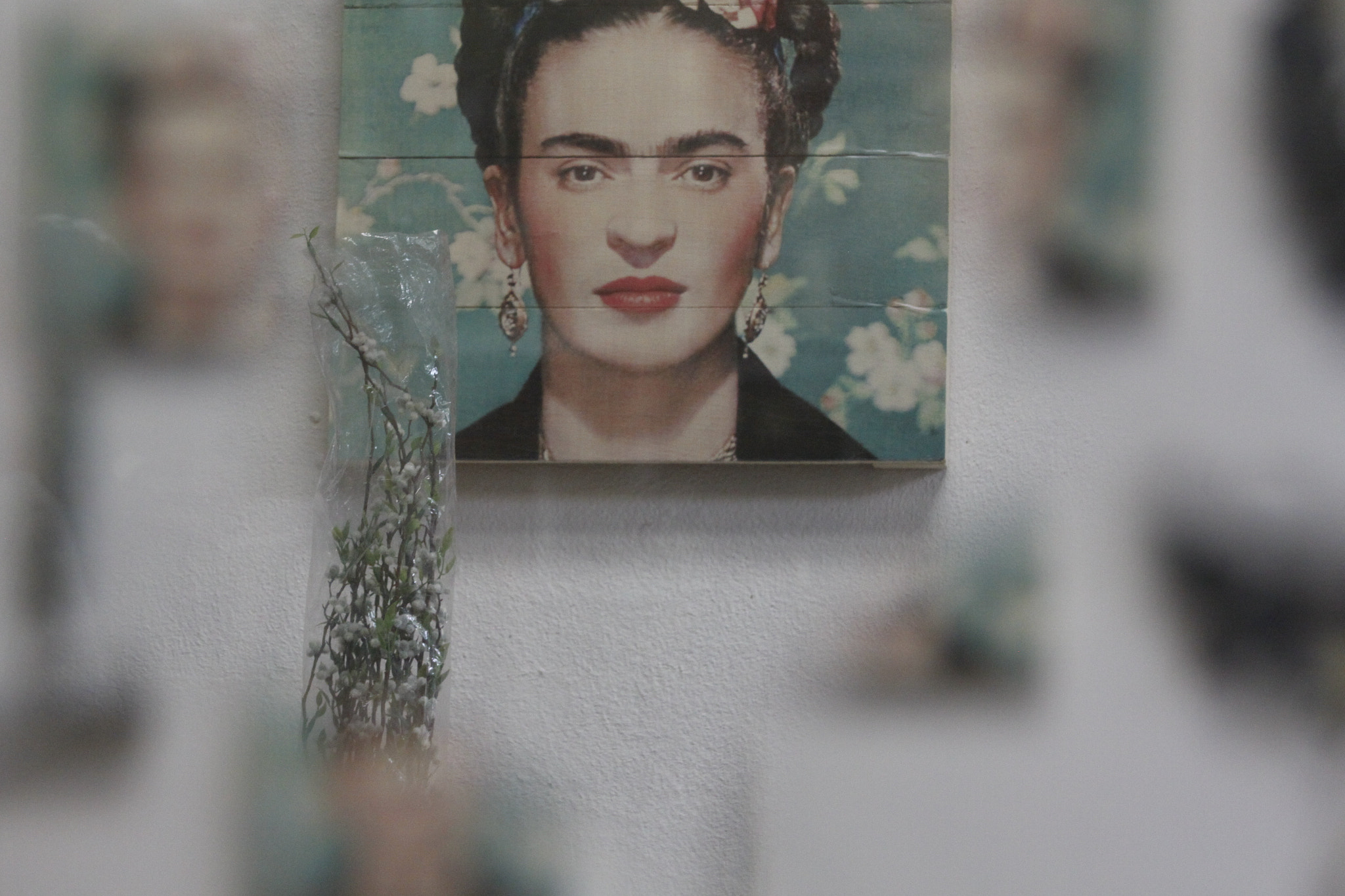 Canon EF 35-80mm f/4-5.6 sample photo. Frida photography