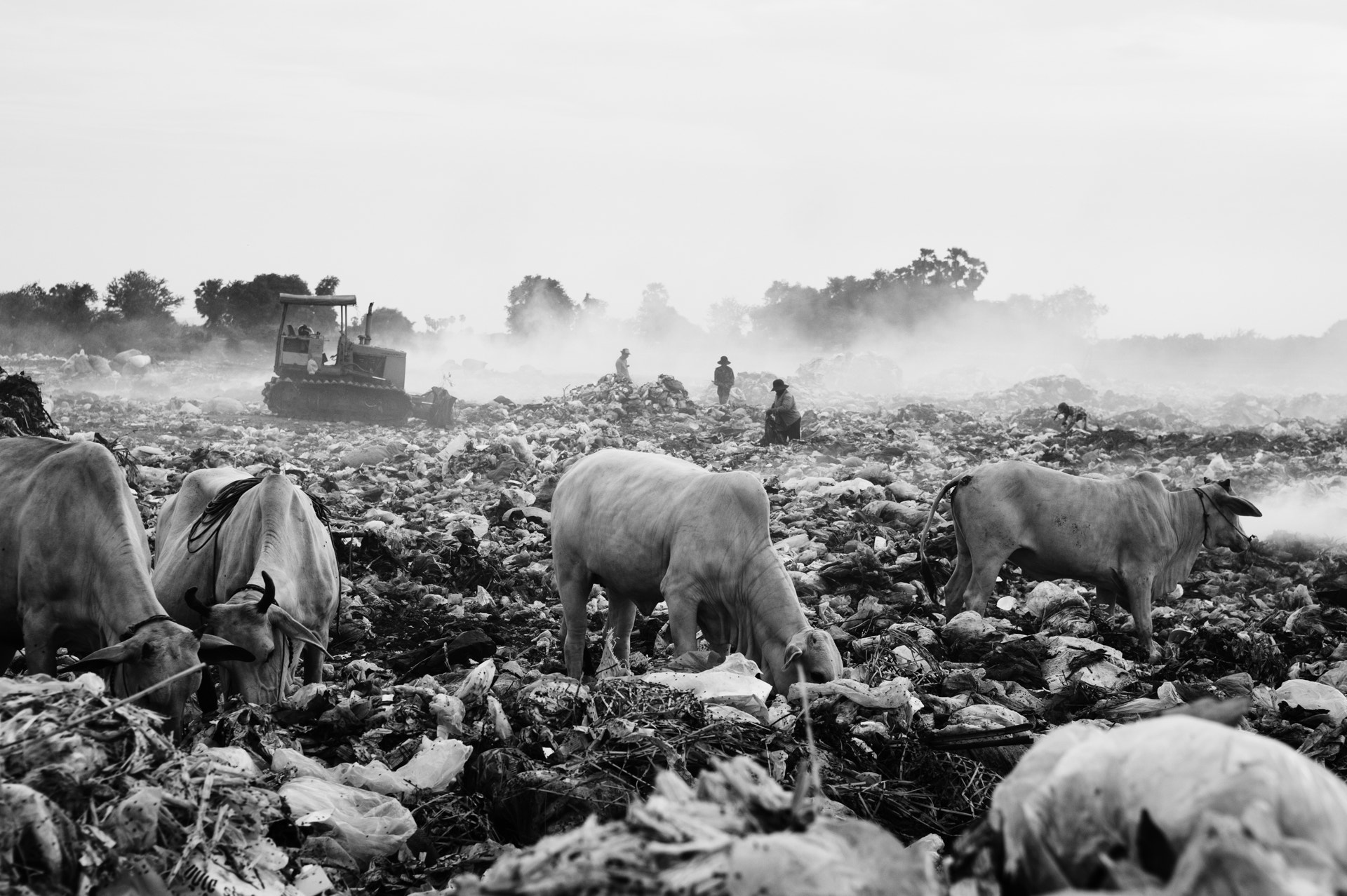 Nikon AF-S Nikkor 28-70mm F2.8 ED-IF sample photo. Battambang rubbish dump photography