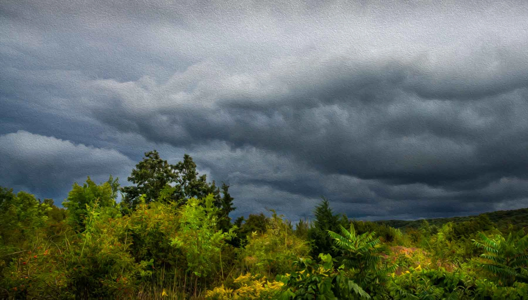 Sony Alpha DSLR-A500 sample photo. Clouds over the field photography