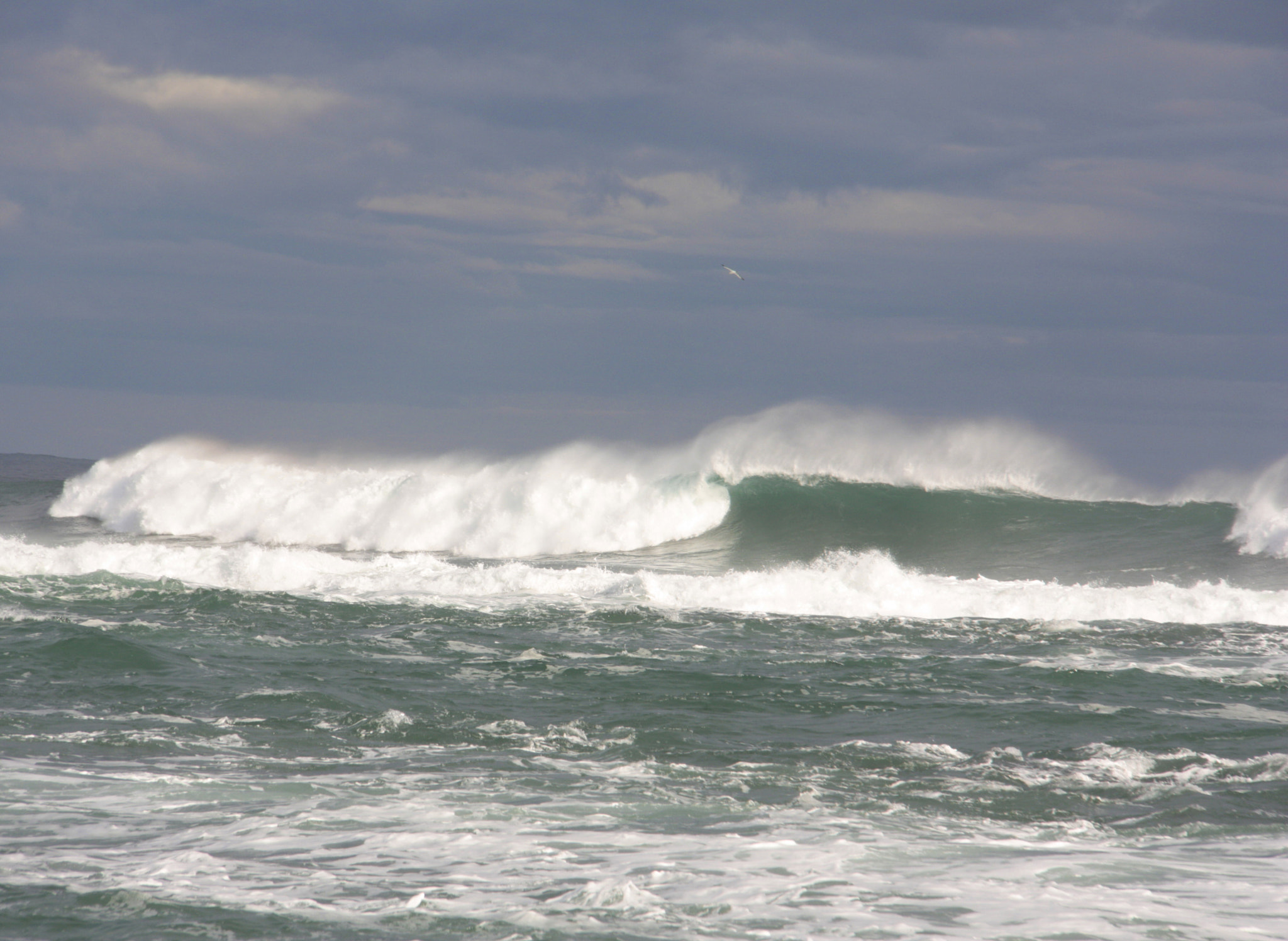 Canon EOS 450D (EOS Rebel XSi / EOS Kiss X2) sample photo. Big surf photography