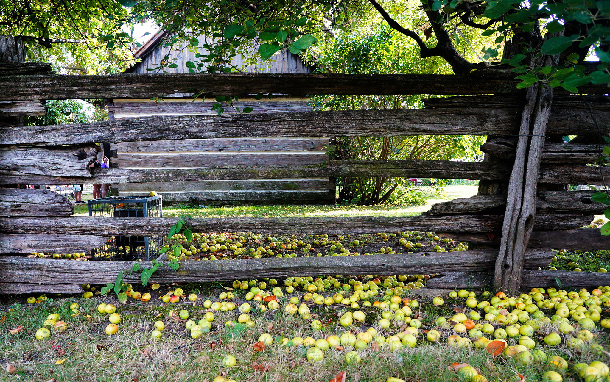 Sony Alpha NEX-5R + Sony E 16mm F2.8 sample photo. Old barn photography