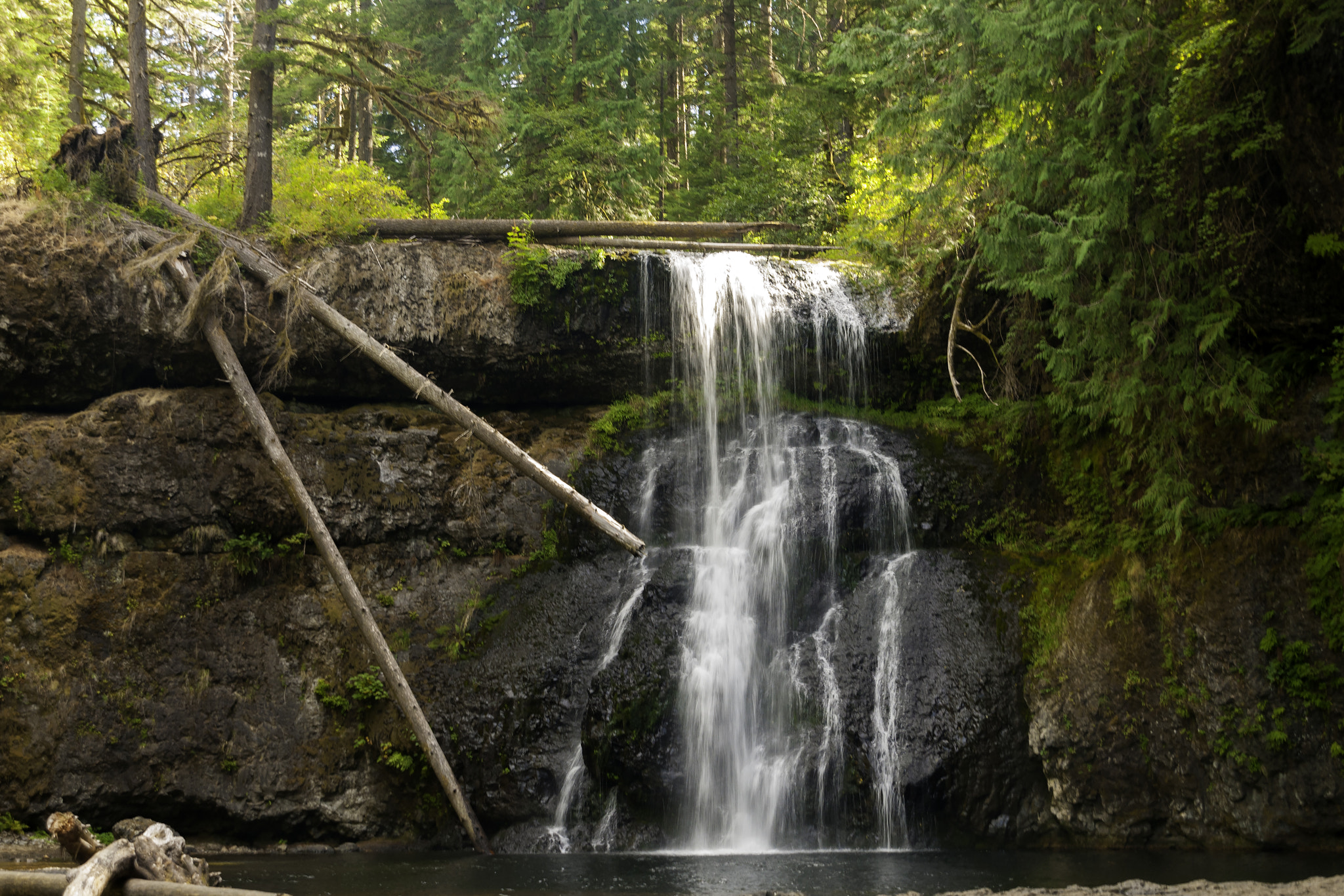 Nikon D300 + Sigma 18-200mm F3.5-6.3 DC sample photo. Silver falls state park photography