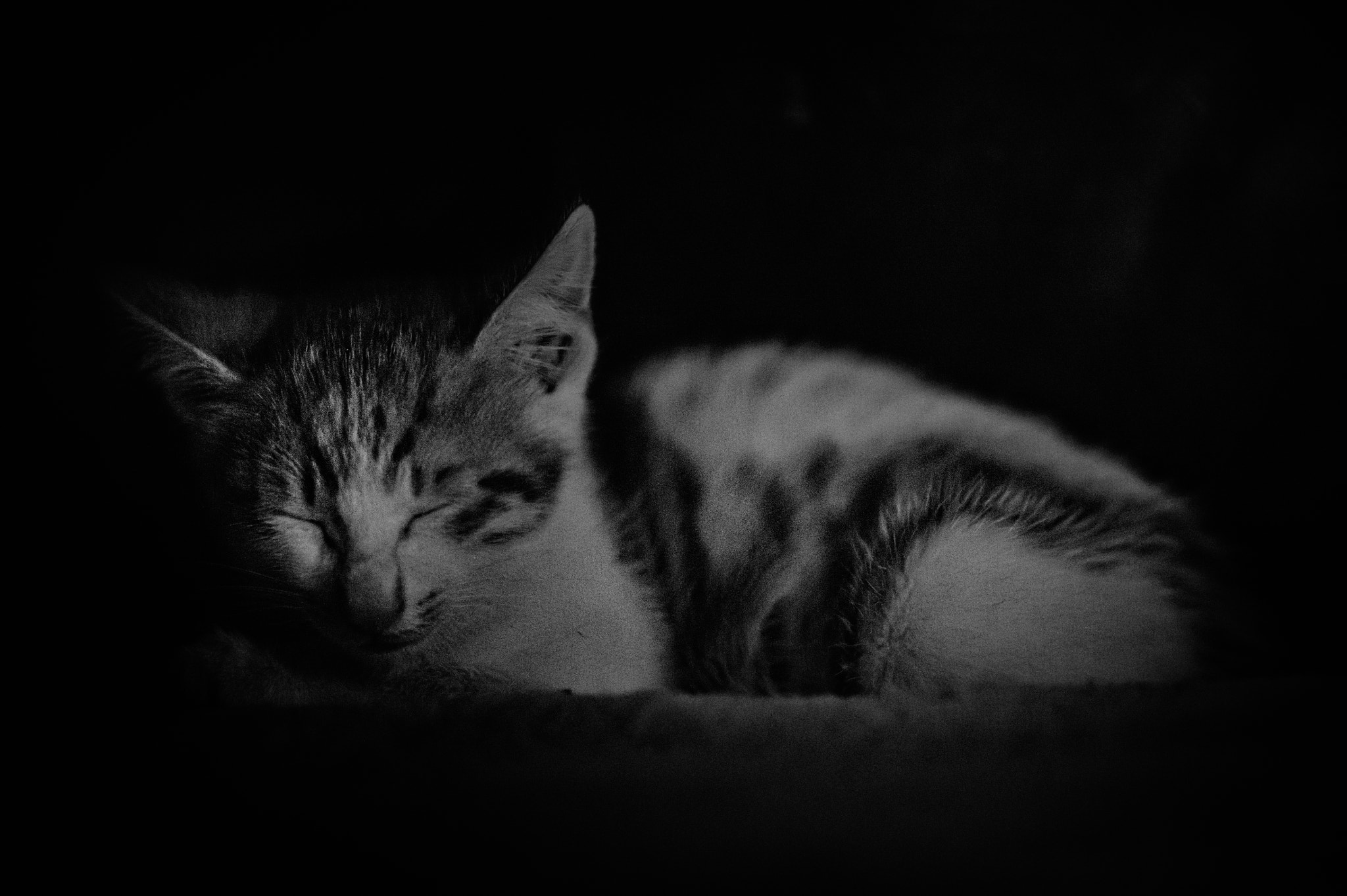 Nikon AF-S Nikkor 85mm F1.4G sample photo