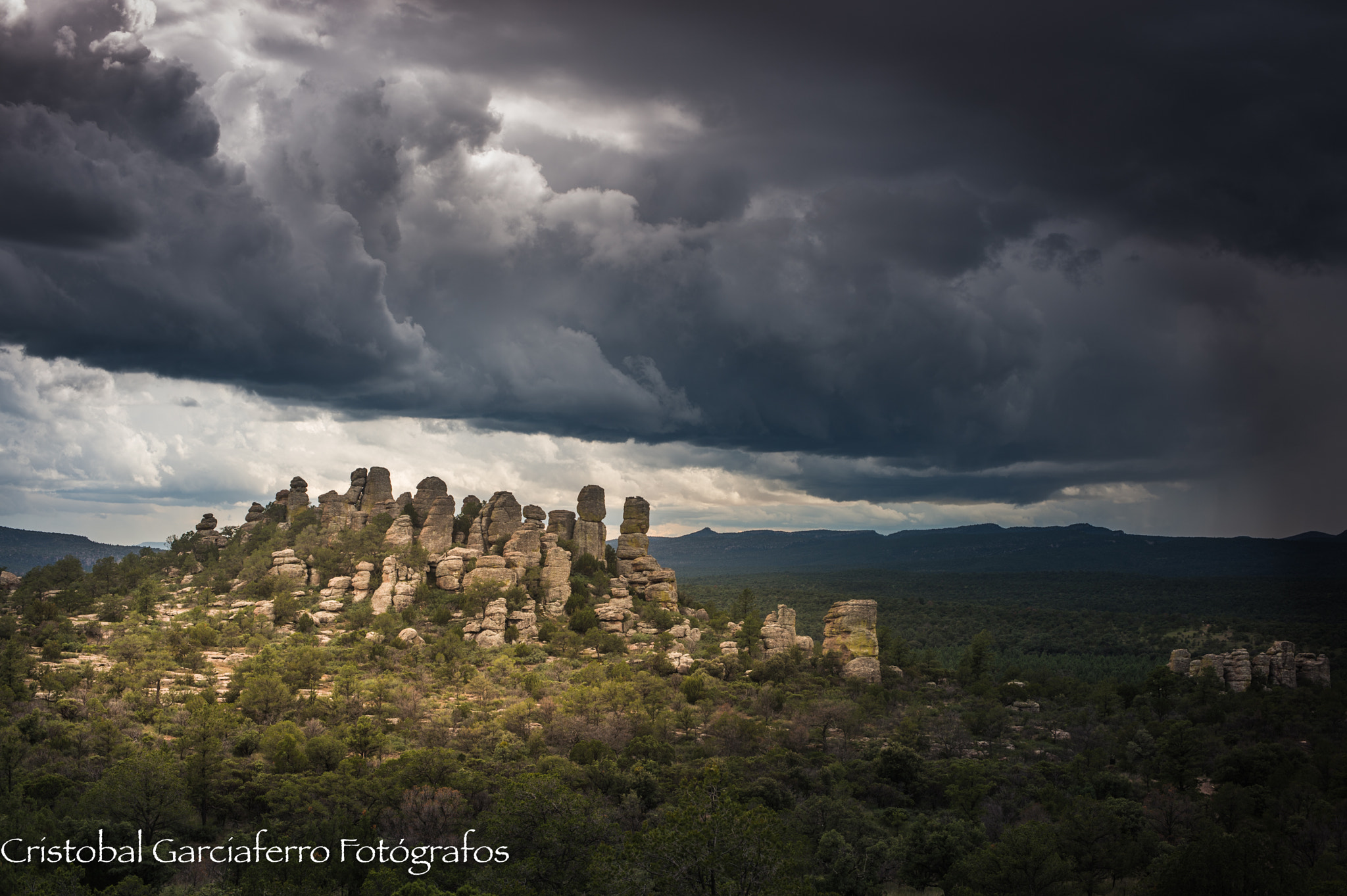 Nikon D4 sample photo. Storm is coming, at majalca hills, in chihuahua, mexico photography